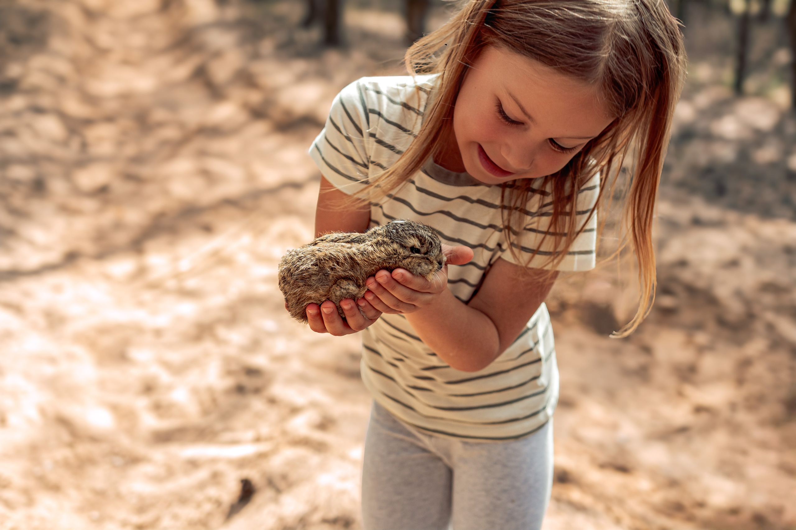 Семейная фотосессия в лесу