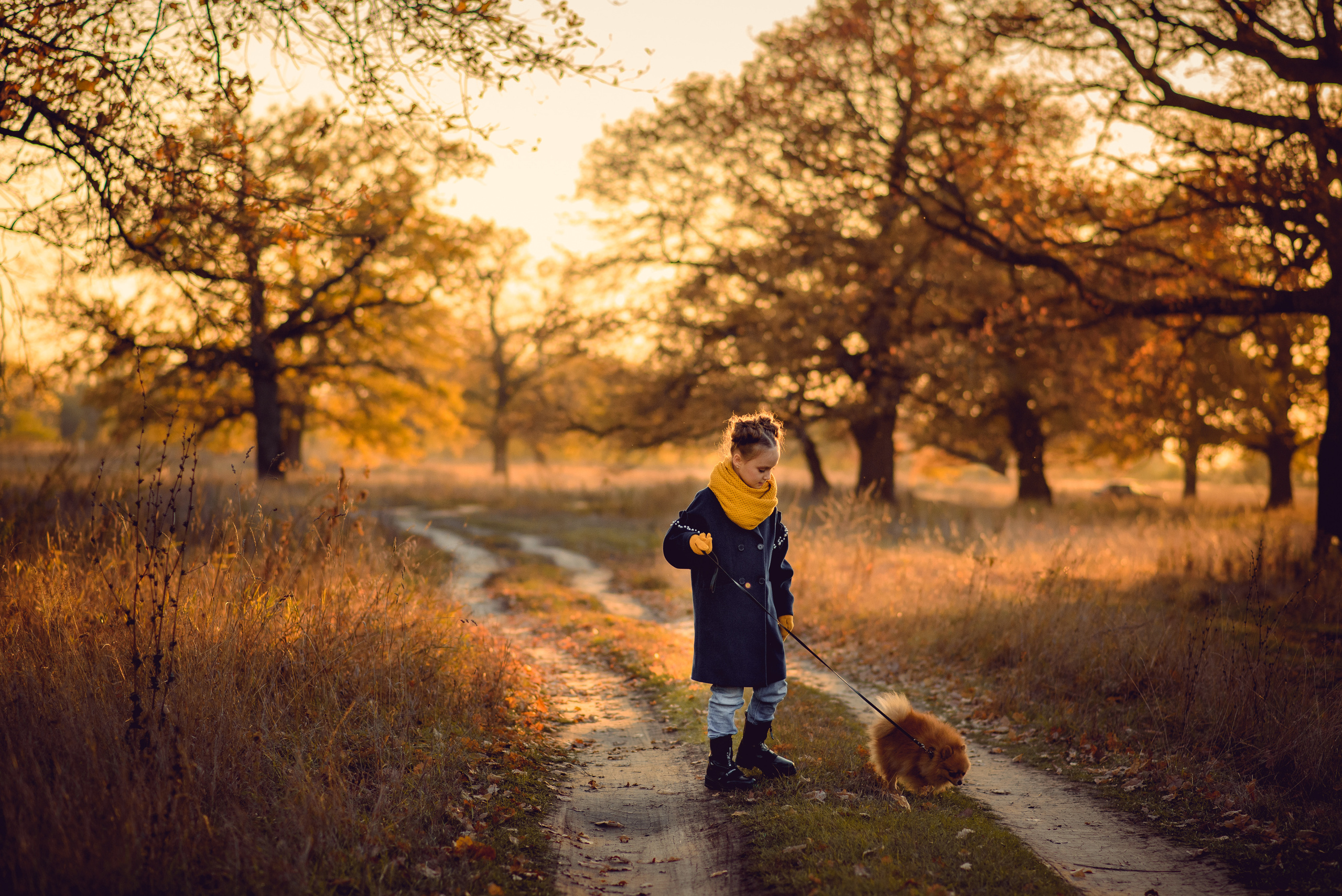 Осенняя прогулка. Профессиональный фотограф в Рязани