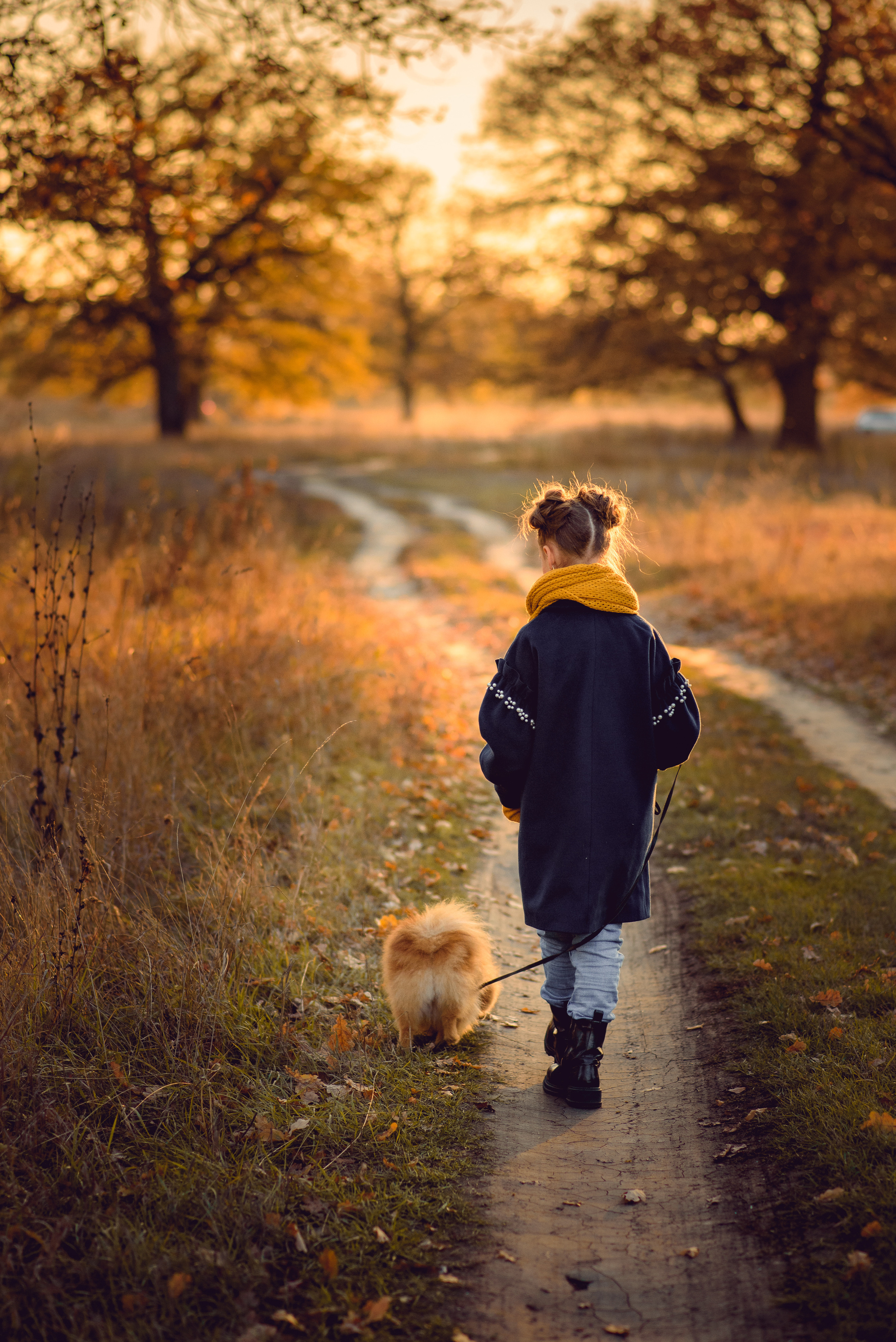 Осенняя прогулка. Профессиональный фотограф в Рязани