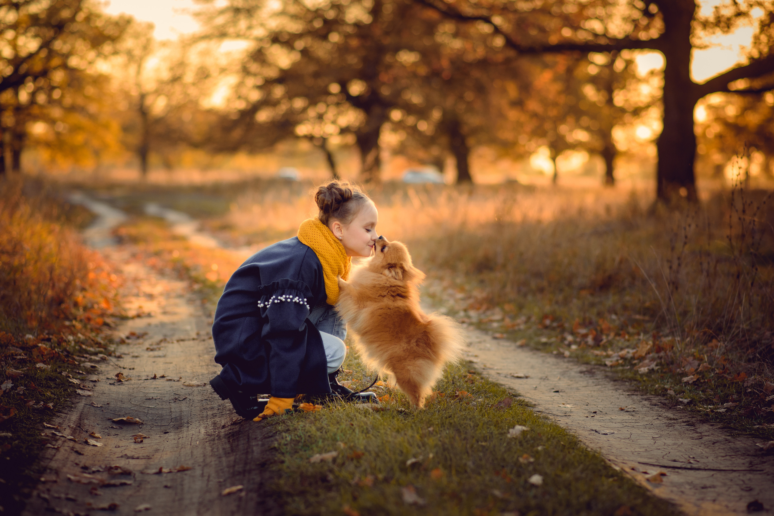 Осенняя прогулка. Профессиональный фотограф в Рязани