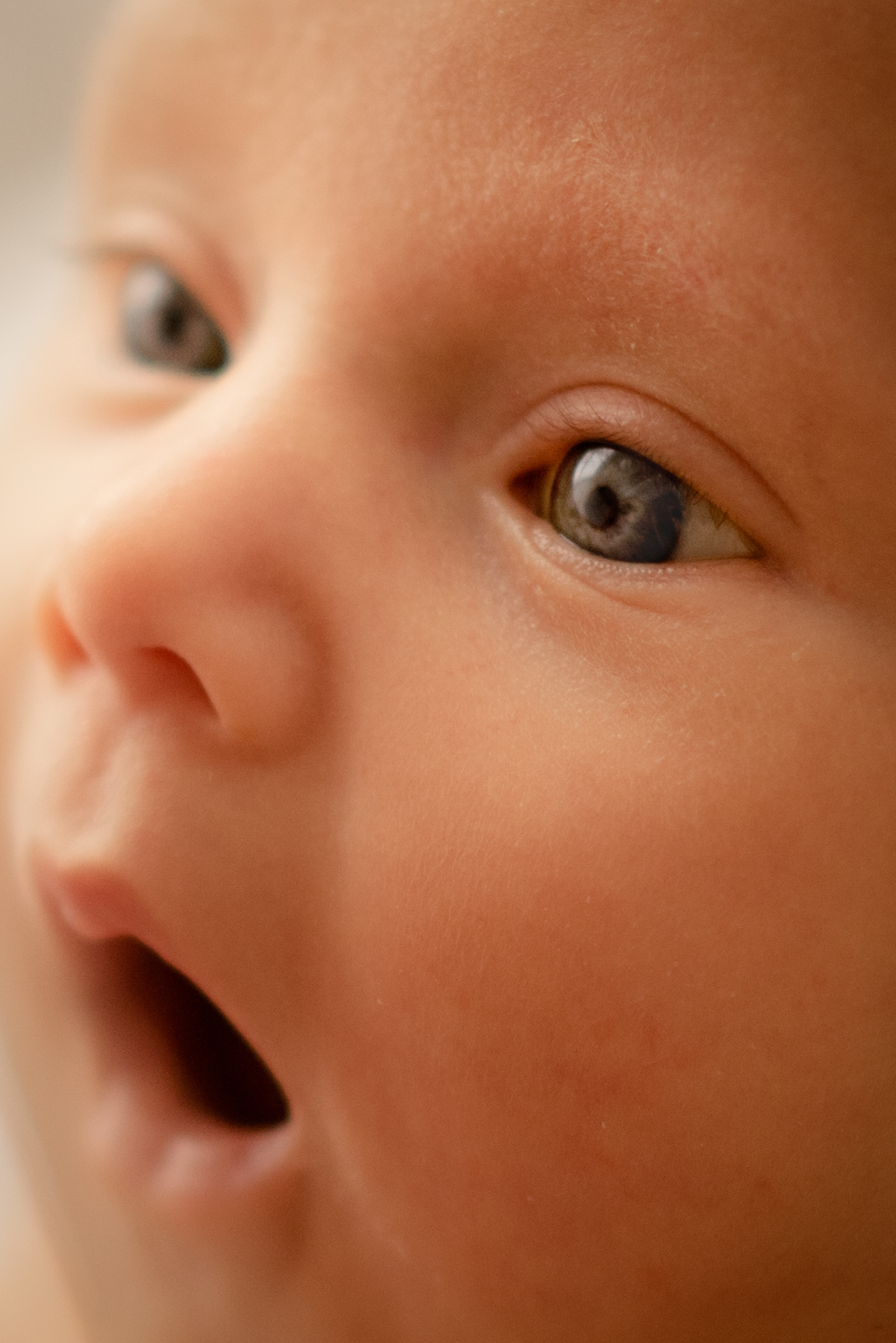 Ньюборн. Профессиональный фотограф в Рязани