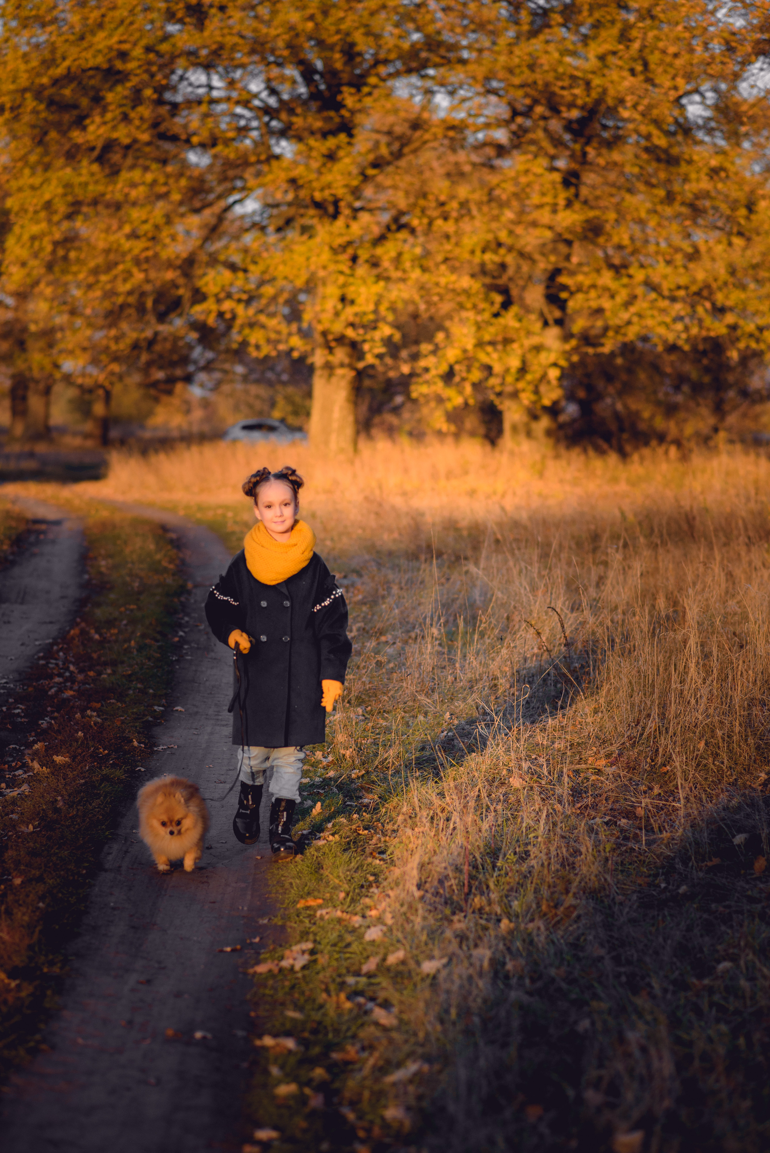 Осенняя прогулка. Профессиональный фотограф в Рязани