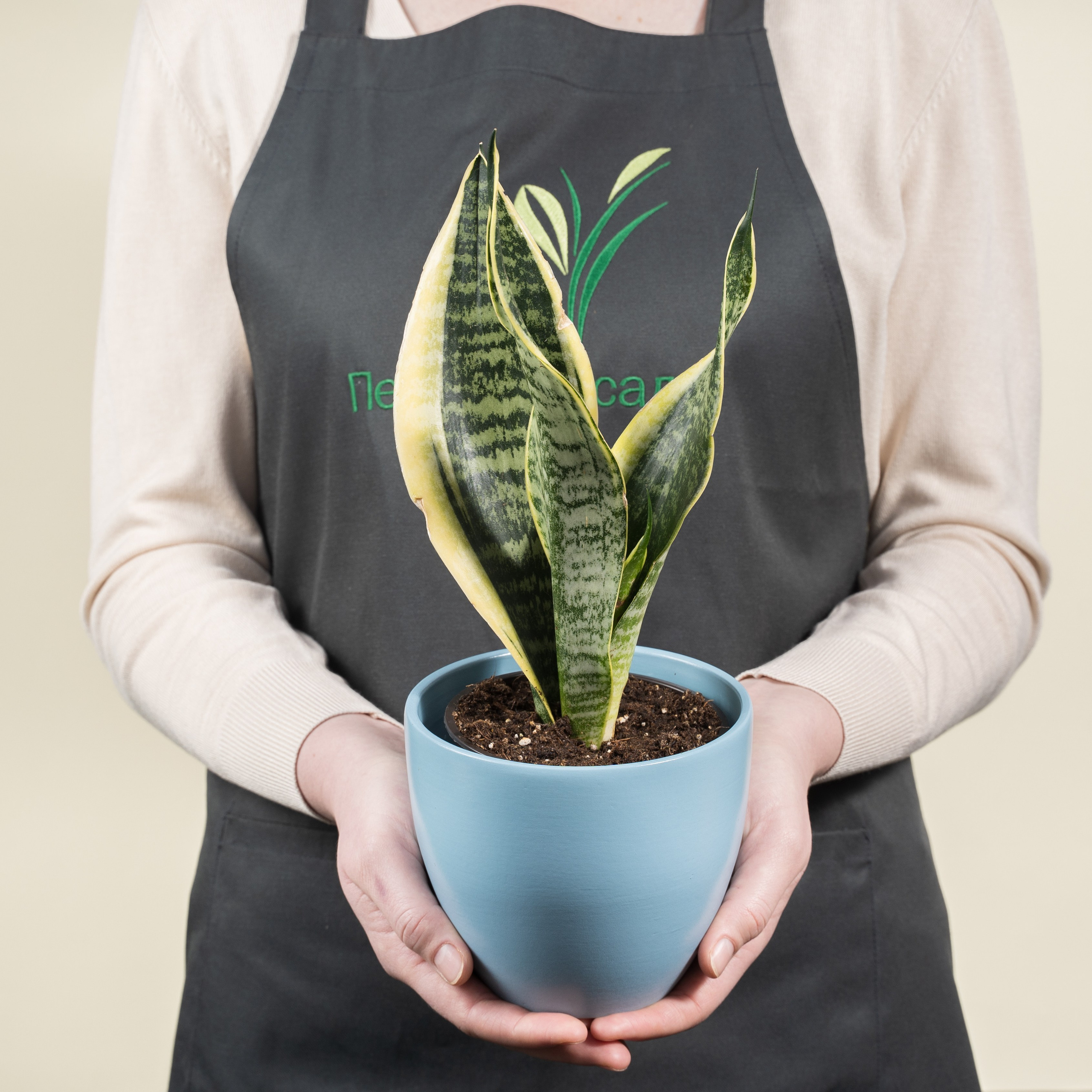 Pemsad. Михаил Белоусов фотограф Пермь