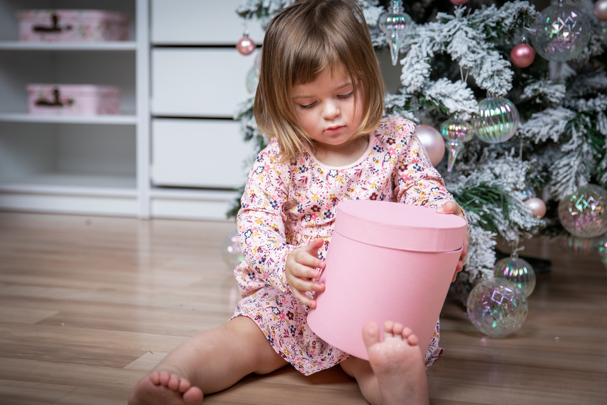 Studio photo shoots. A child at a family photo shoot in the studio