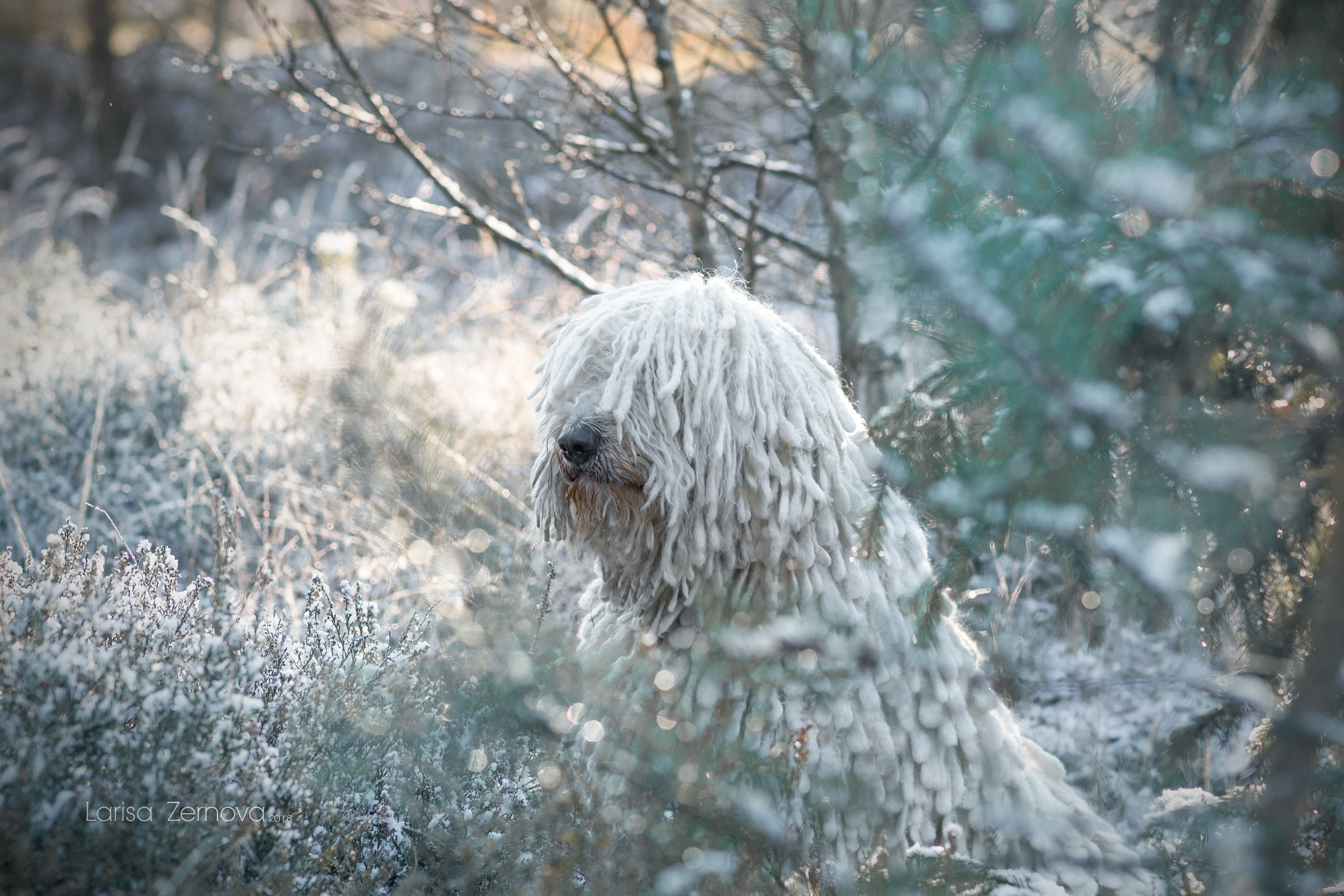 Лаиса Зернова. Фото школа, обучение фотографии в Калининграде