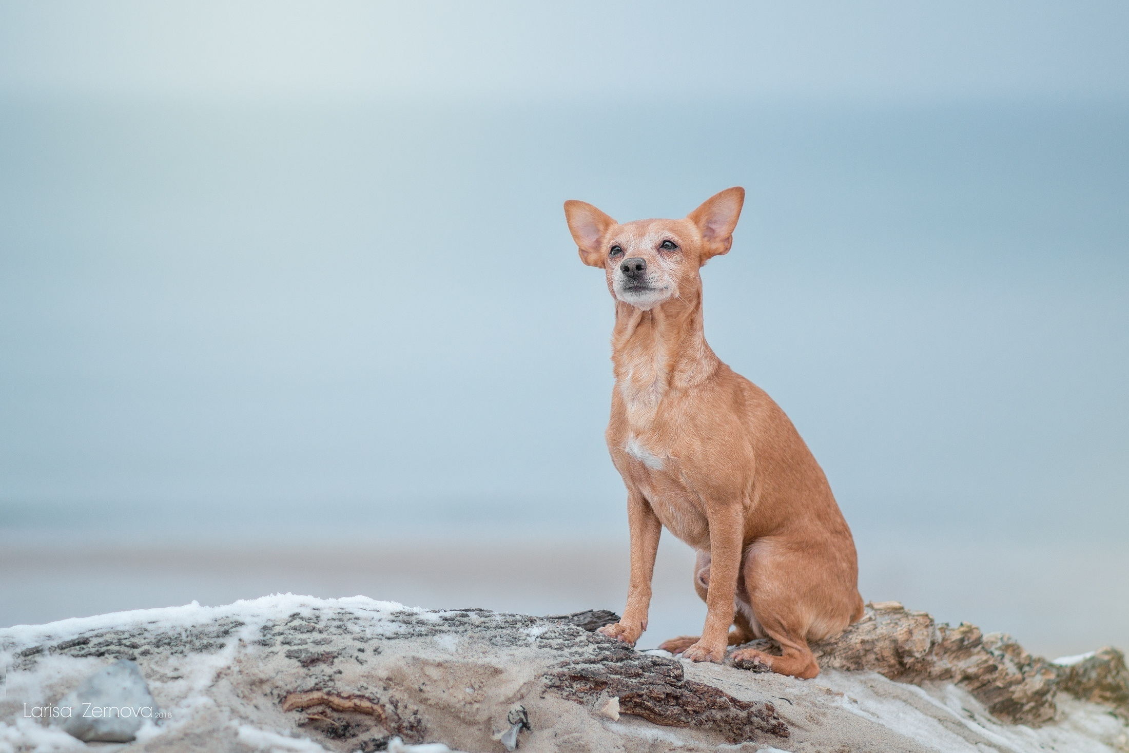 Лаиса Зернова. Фото школа, обучение фотографии в Калининграде