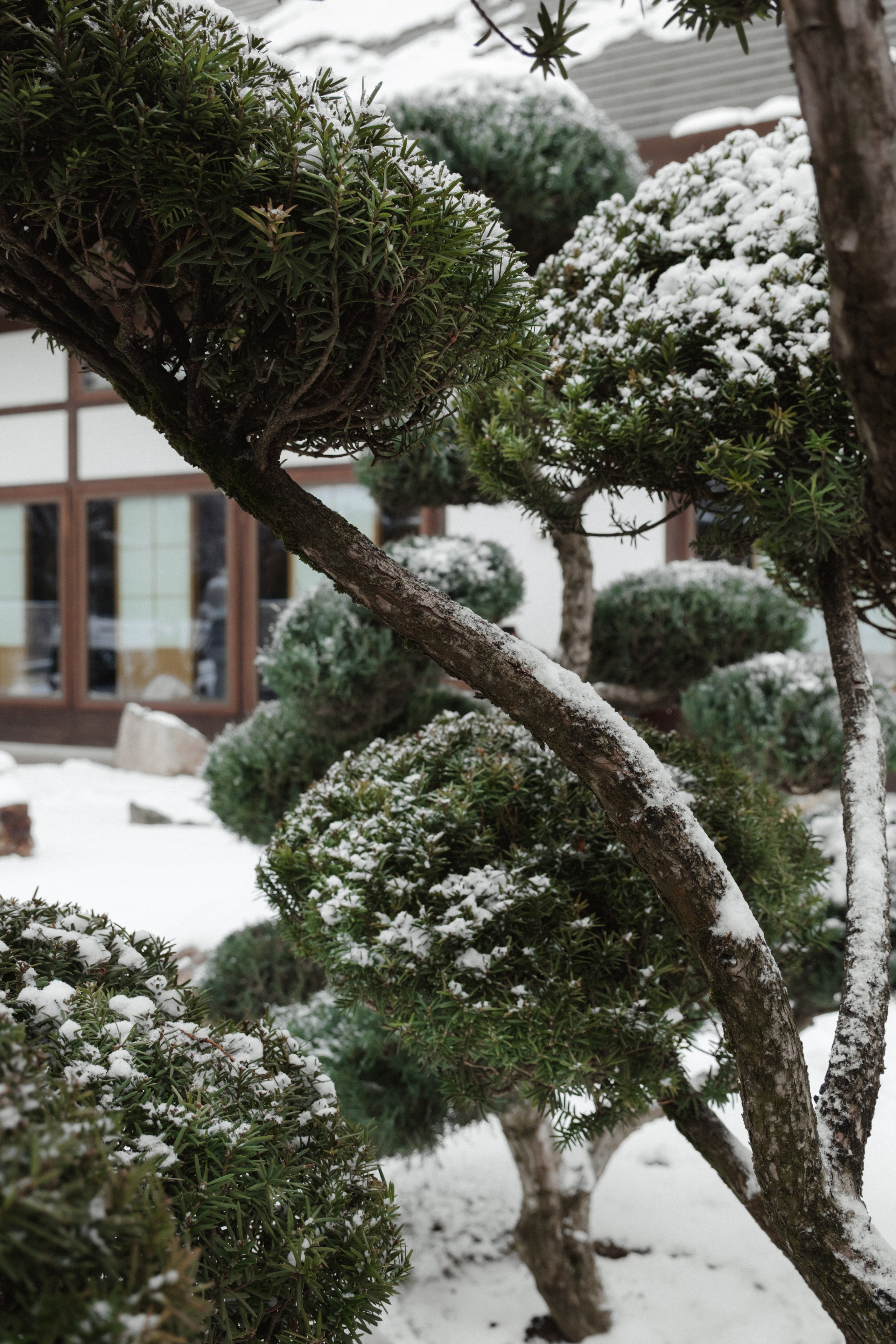 Japanese Garden in Krasnodar. Ekaterina Symidi. Interior Photographer