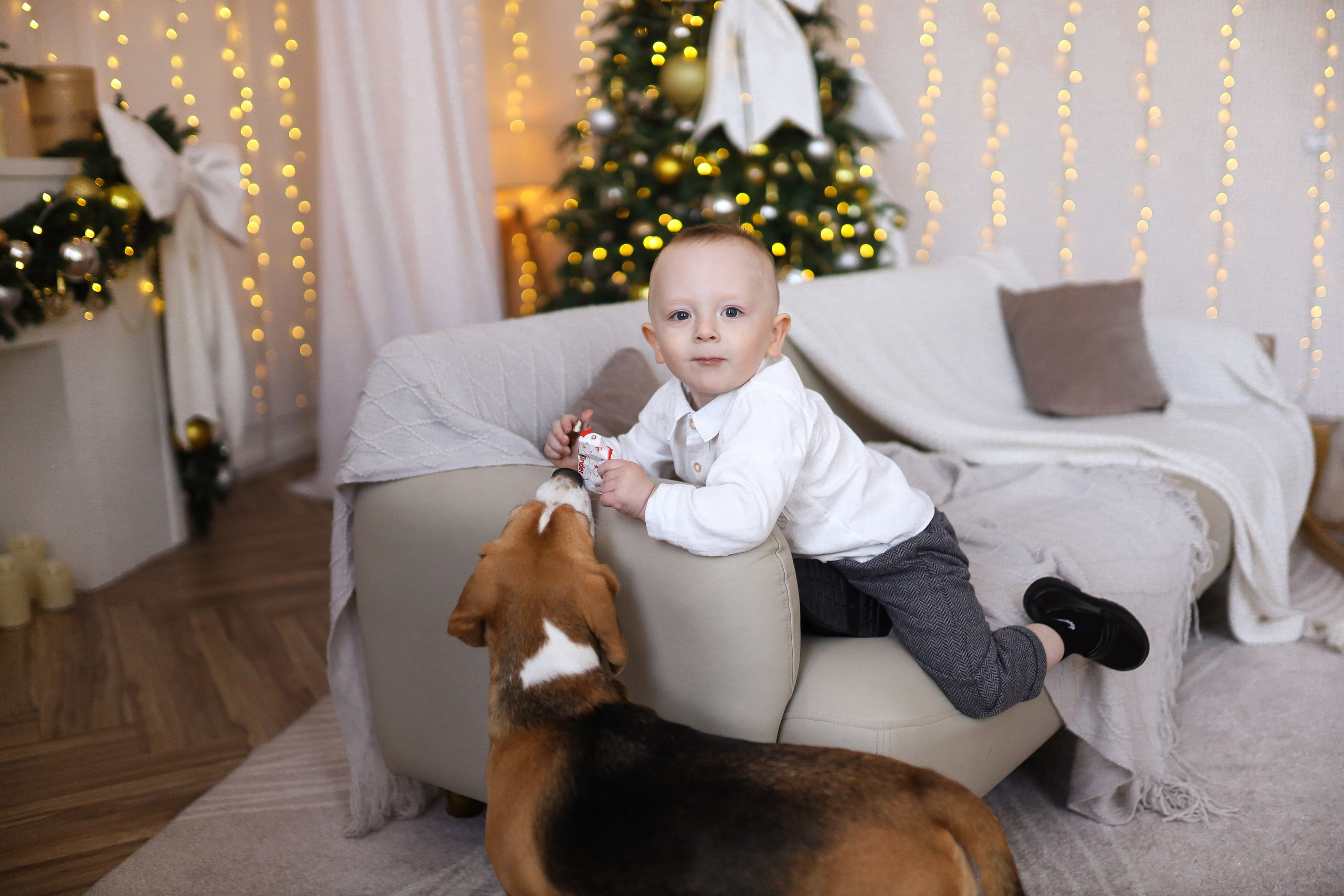 Семейная съёмка белый зал. ФОТОГРАФ ХАБАРОВСК АНАСТАСИЯ РАЧЕНКОВА