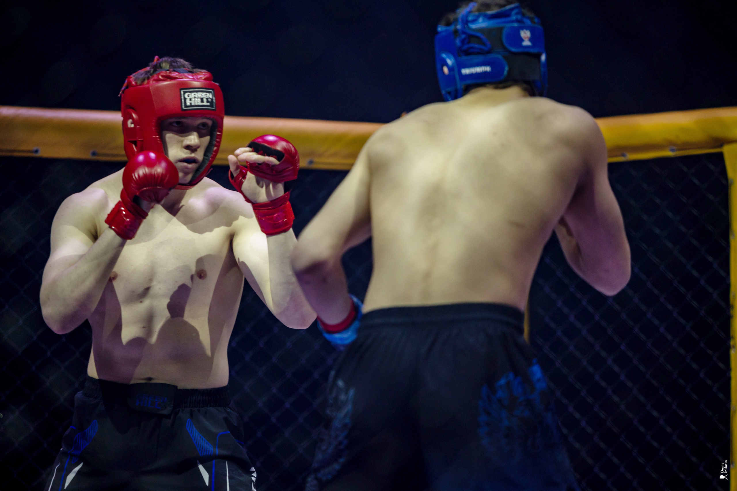 Бои в клетке «Северный Воин». Портретный фотограф Денис Милютин