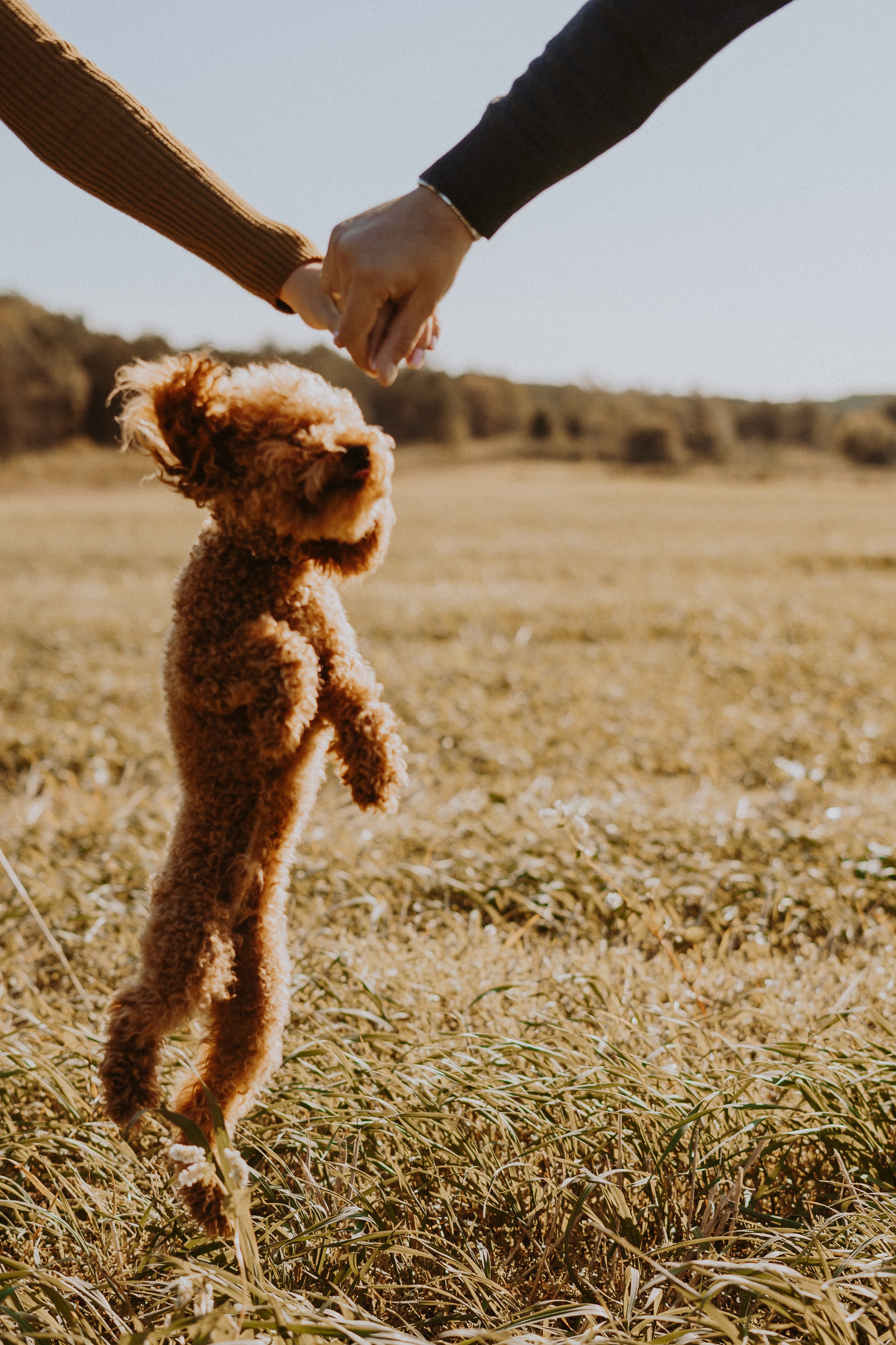 Осенняя семейная съемка. Фотограф сахалин