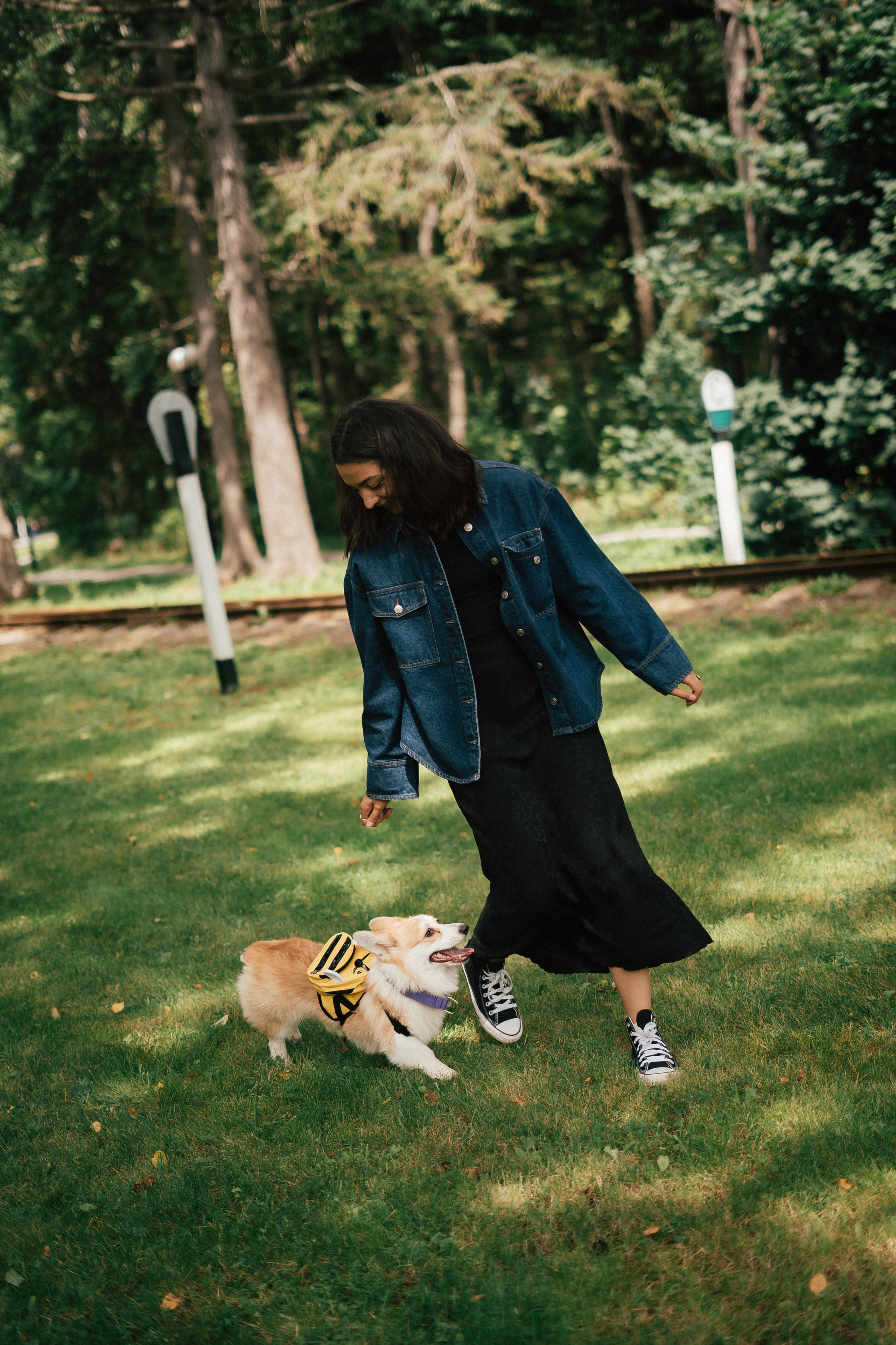 Фотосессия с собакой сахалин. Фотограф сахалин