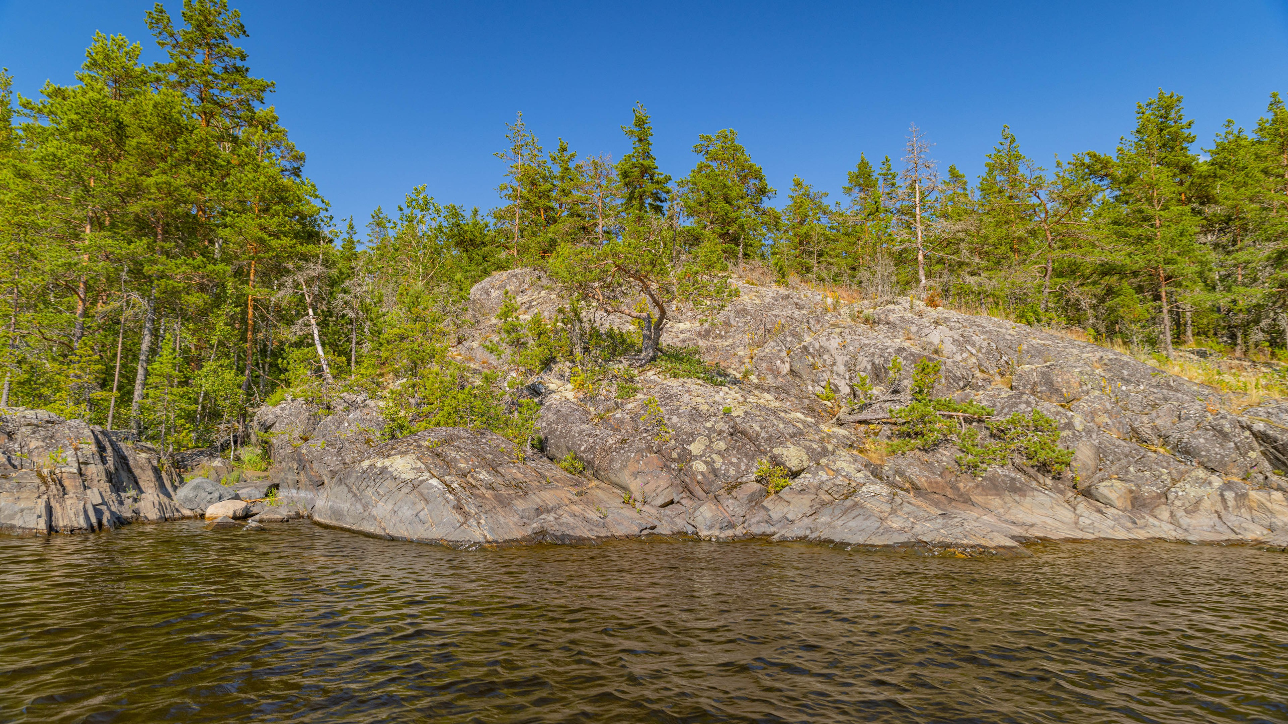 2025 07 Выборг — Сортавала — Великий Новгород — Псков. Фотографии