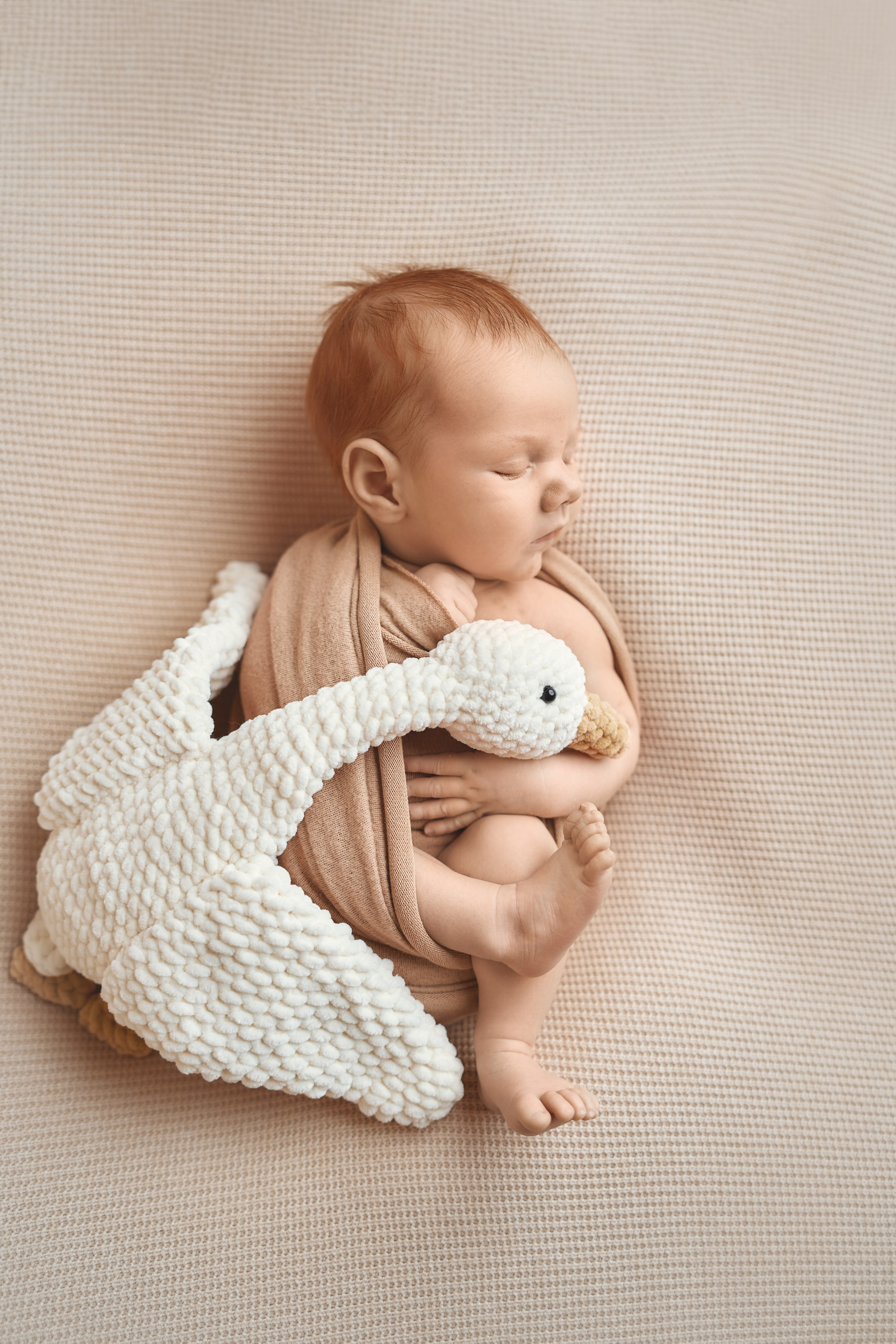 Ярослав. Фотограф новорожденных во Владивостоке Ромашко Виктория