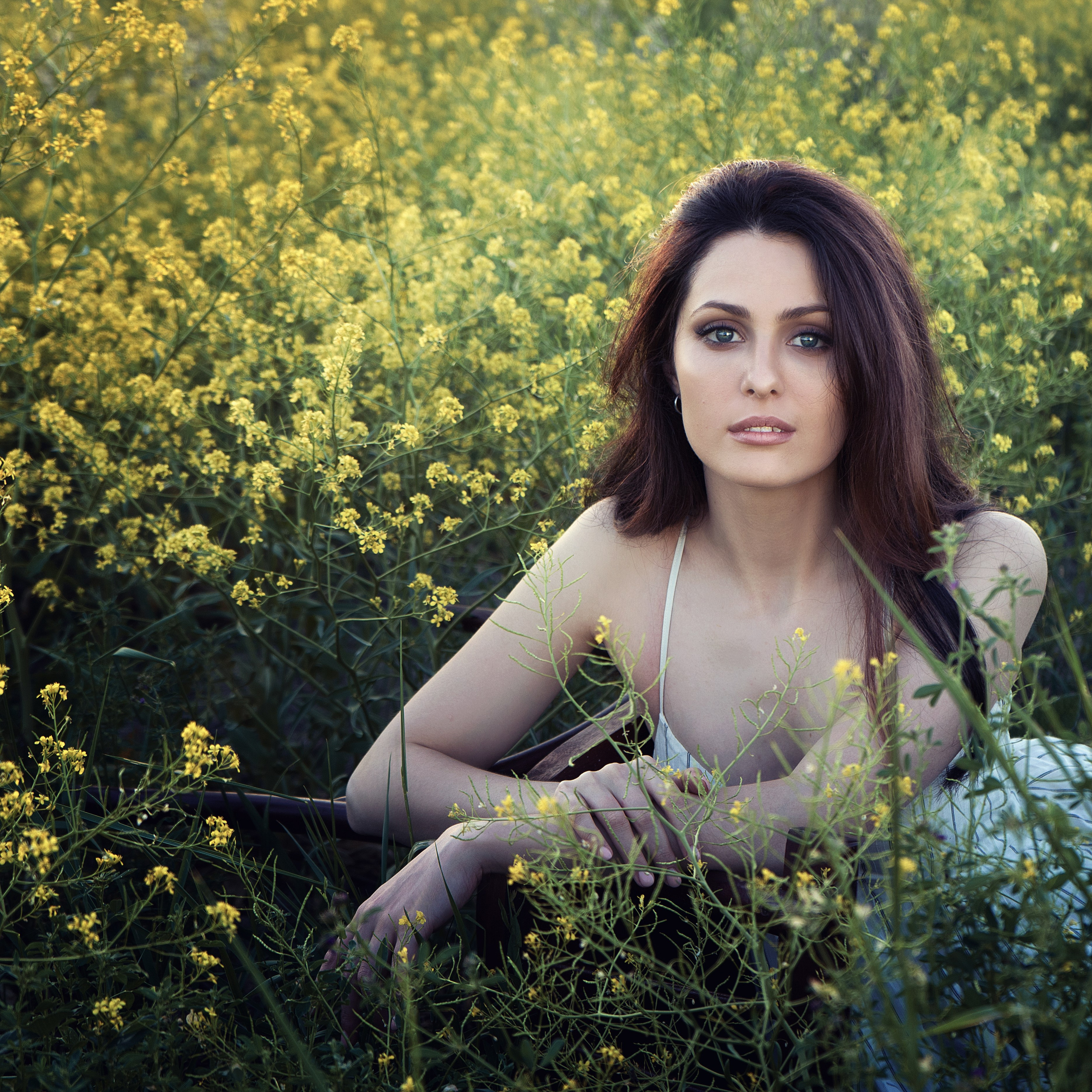 Катерина. В поле. Семейный фотограф, женский фототерапевт