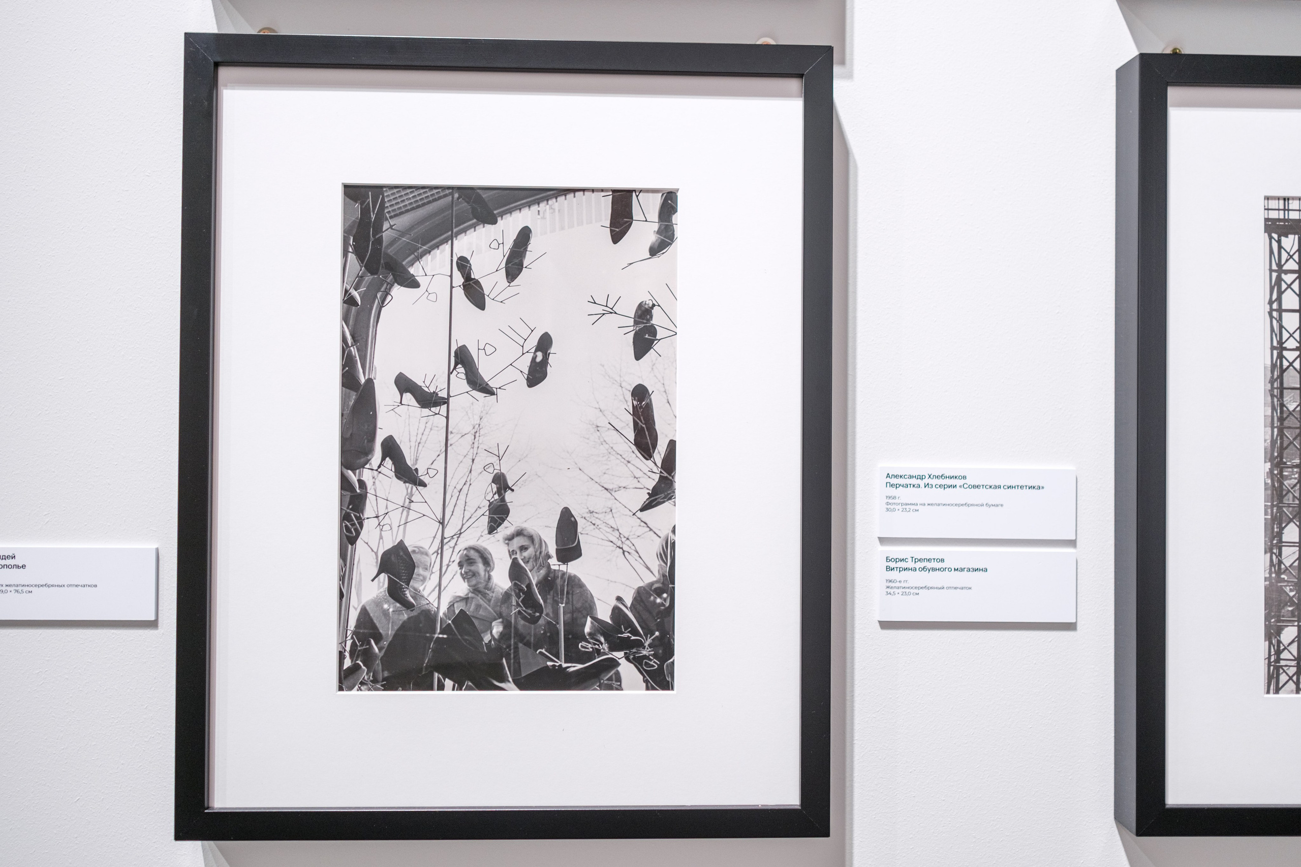 Выставочный проект «Фотоискусство. От дагеротипа до искусственного интеллекта». Фотограф Балаев Михаил