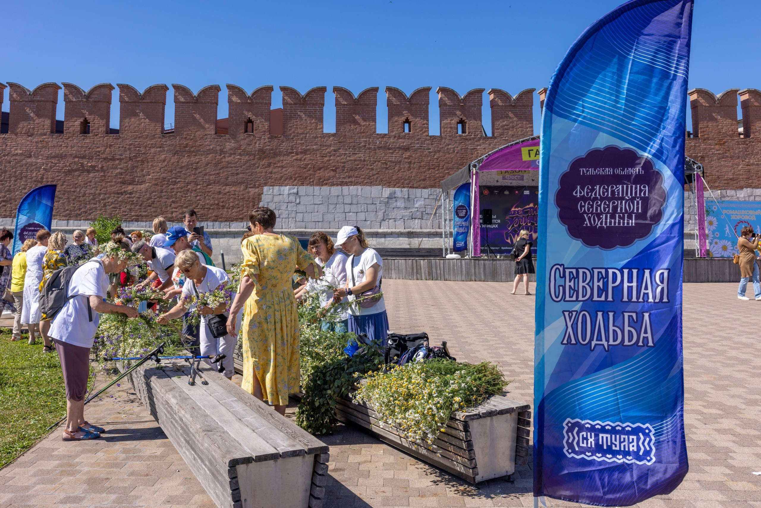 Фестиваль «Ромашковый хоровод». Северная ходьба. Фотограф в Туле Крупский АнДРей. Фотостудия «КАДР71» в Туле