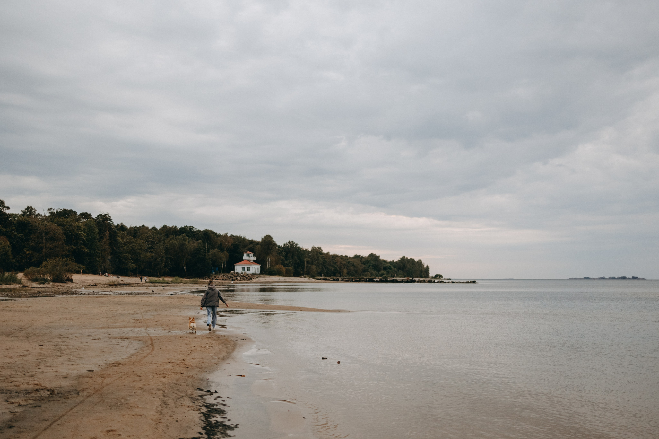 Лиза и Бакс. Фотограф — Анималист | Санкт-Петербург