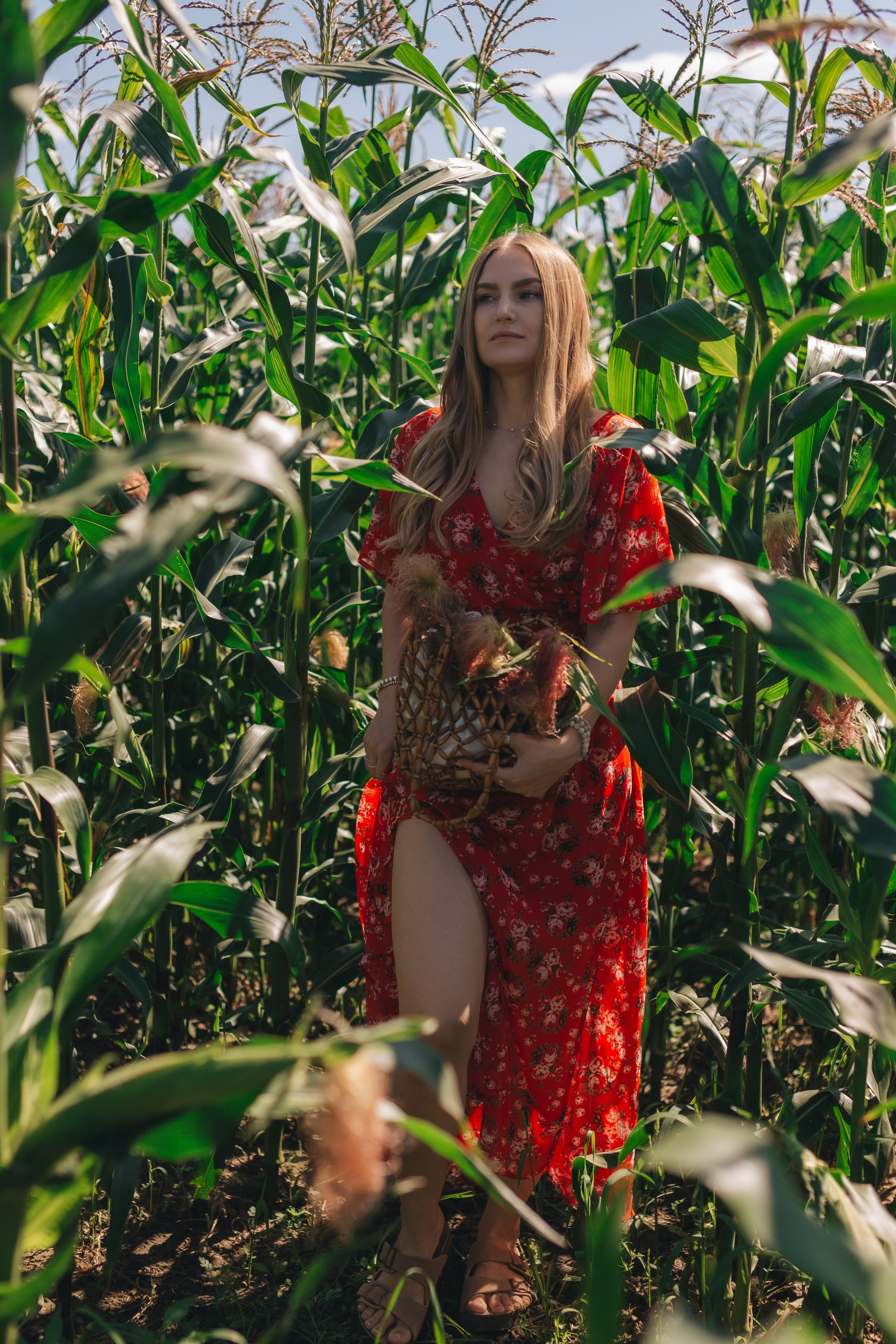 Кукуруза. Семейный и художественный фотограф в Тюмени Юлия Логинова