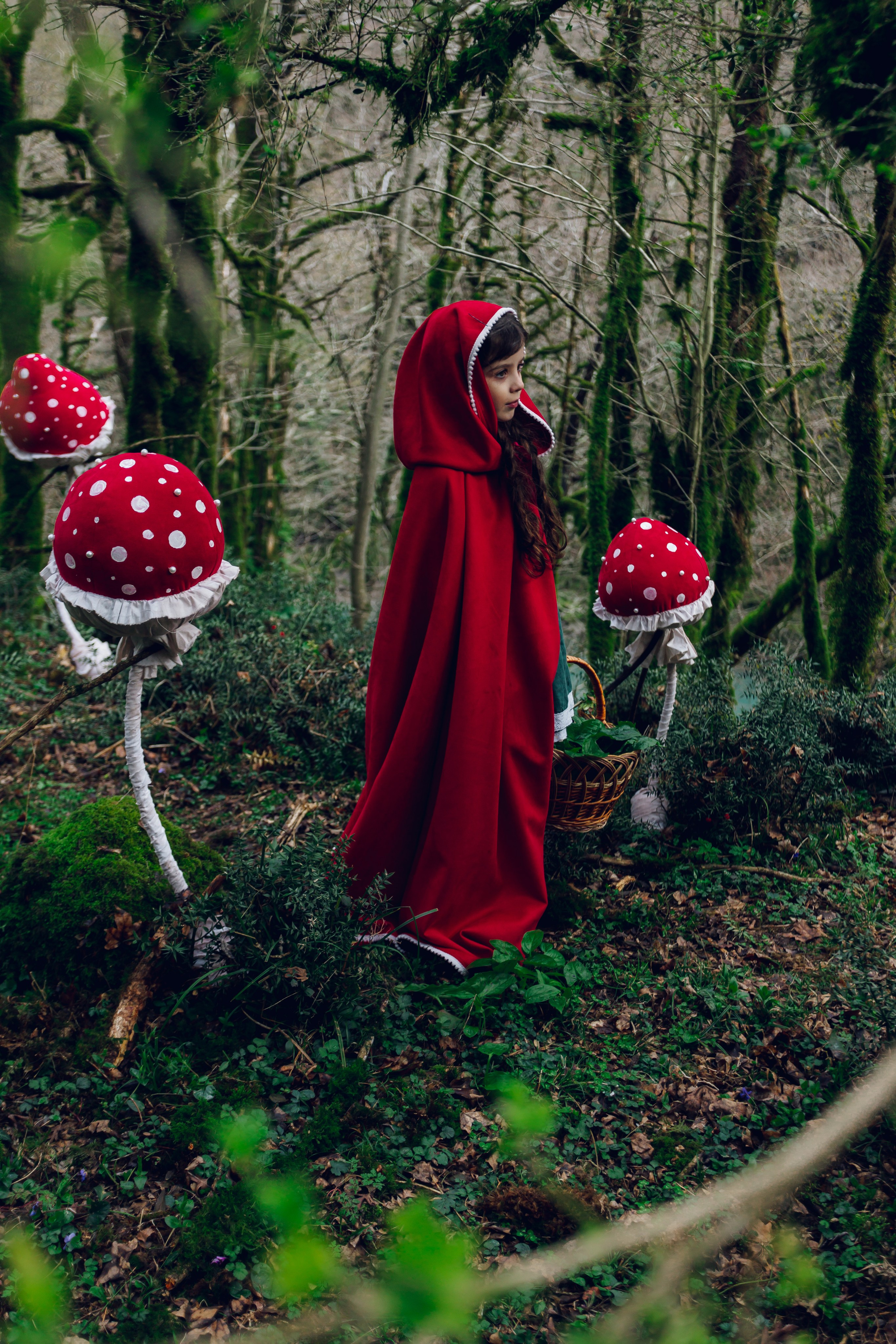 Самшитовая роща. Семейный и художественный фотограф в Тюмени Юлия Логинова