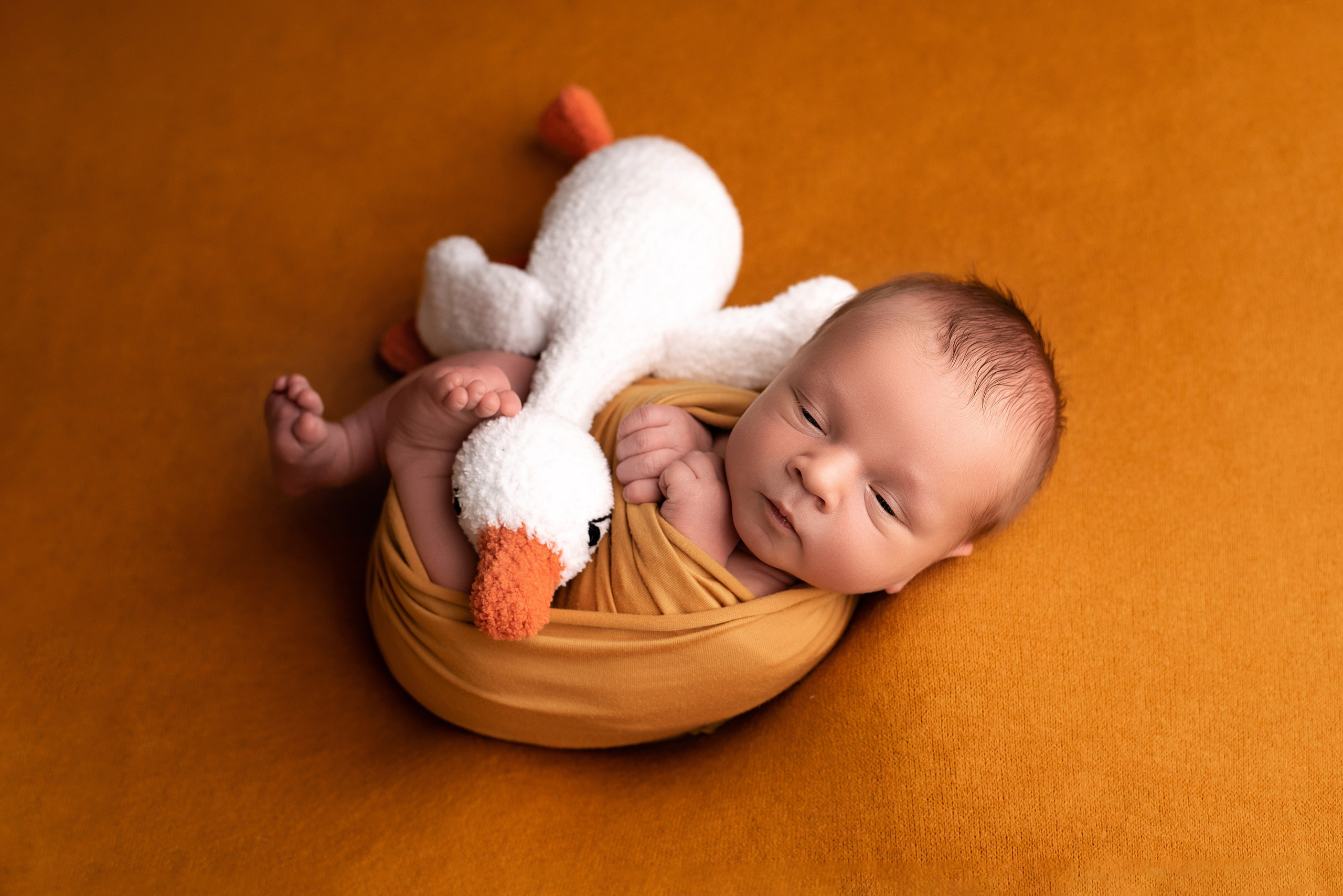 Новорождённые мальчики. Детский фотограф новорождённых в Минске Боровик Екатерина