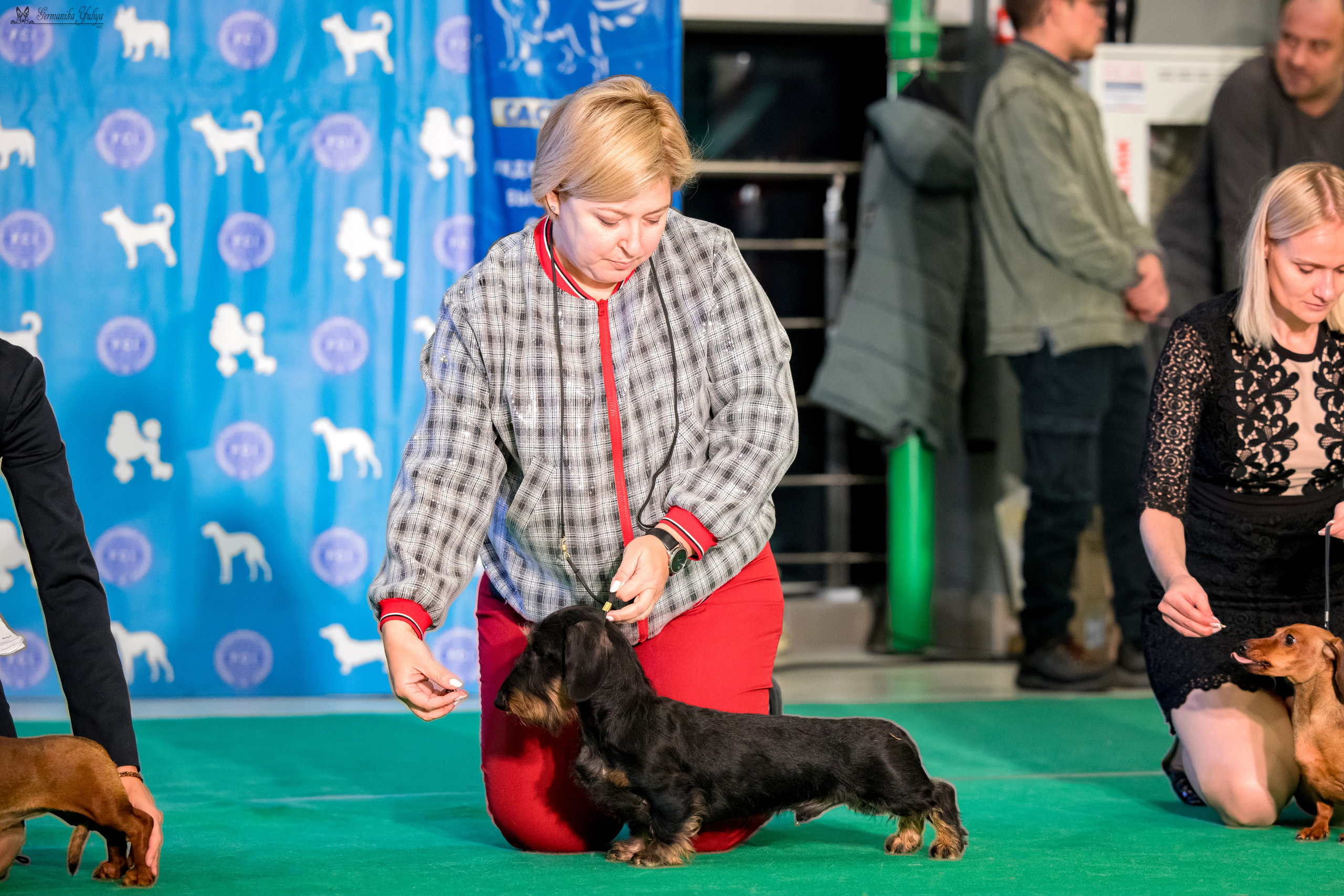 Минск 25-26.11.2023. Фотограф-анималист Юлия Германика