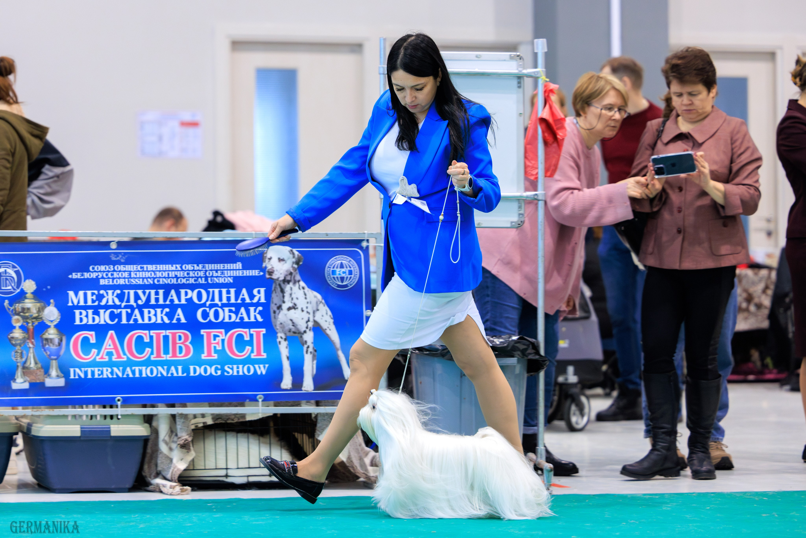 Минск 24-25.02.2024. Фотограф-анималист Юлия Германика