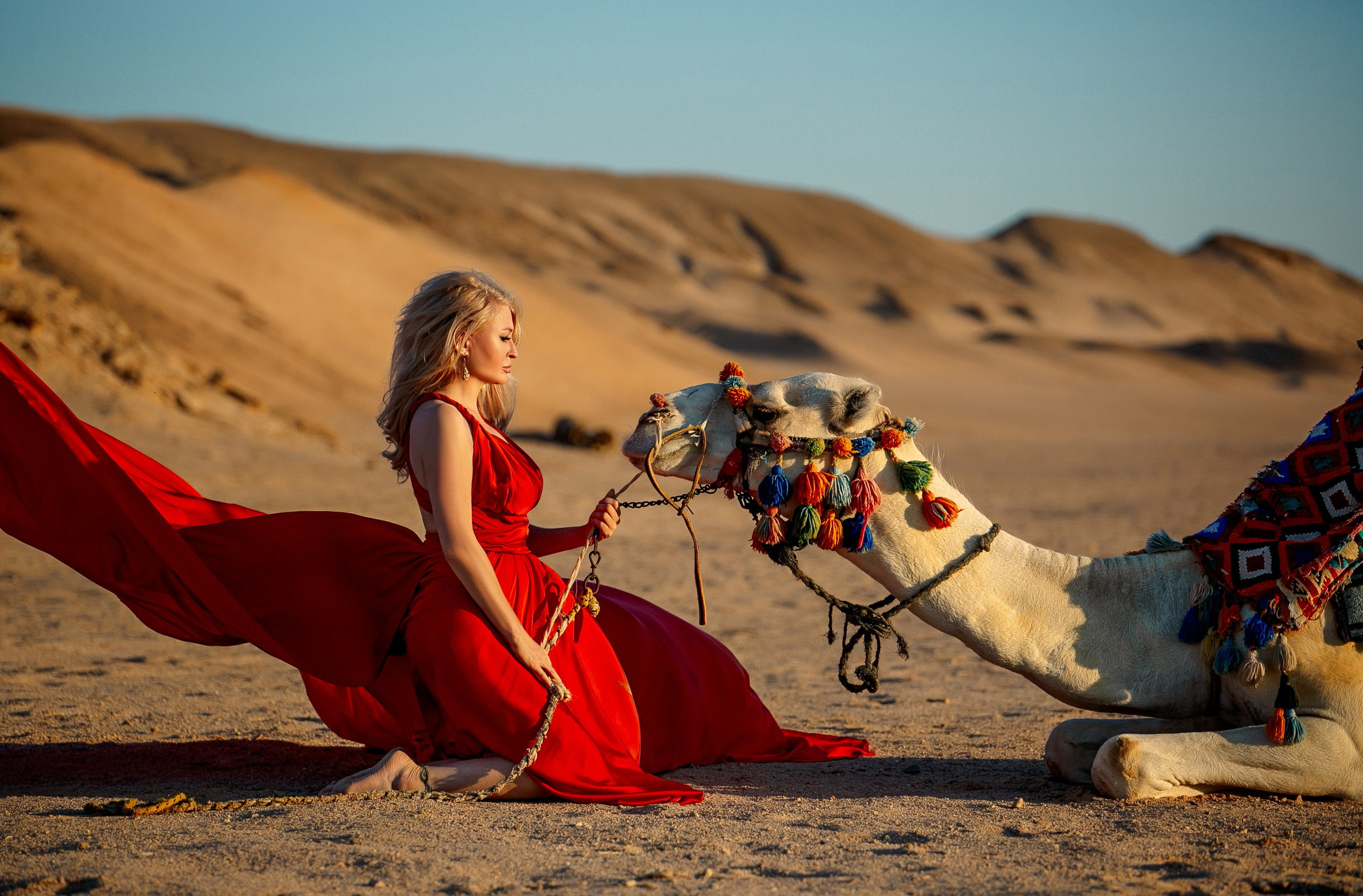Фотосет с верблюдом. Фотограф Хургада / Египет Натали Шувалова