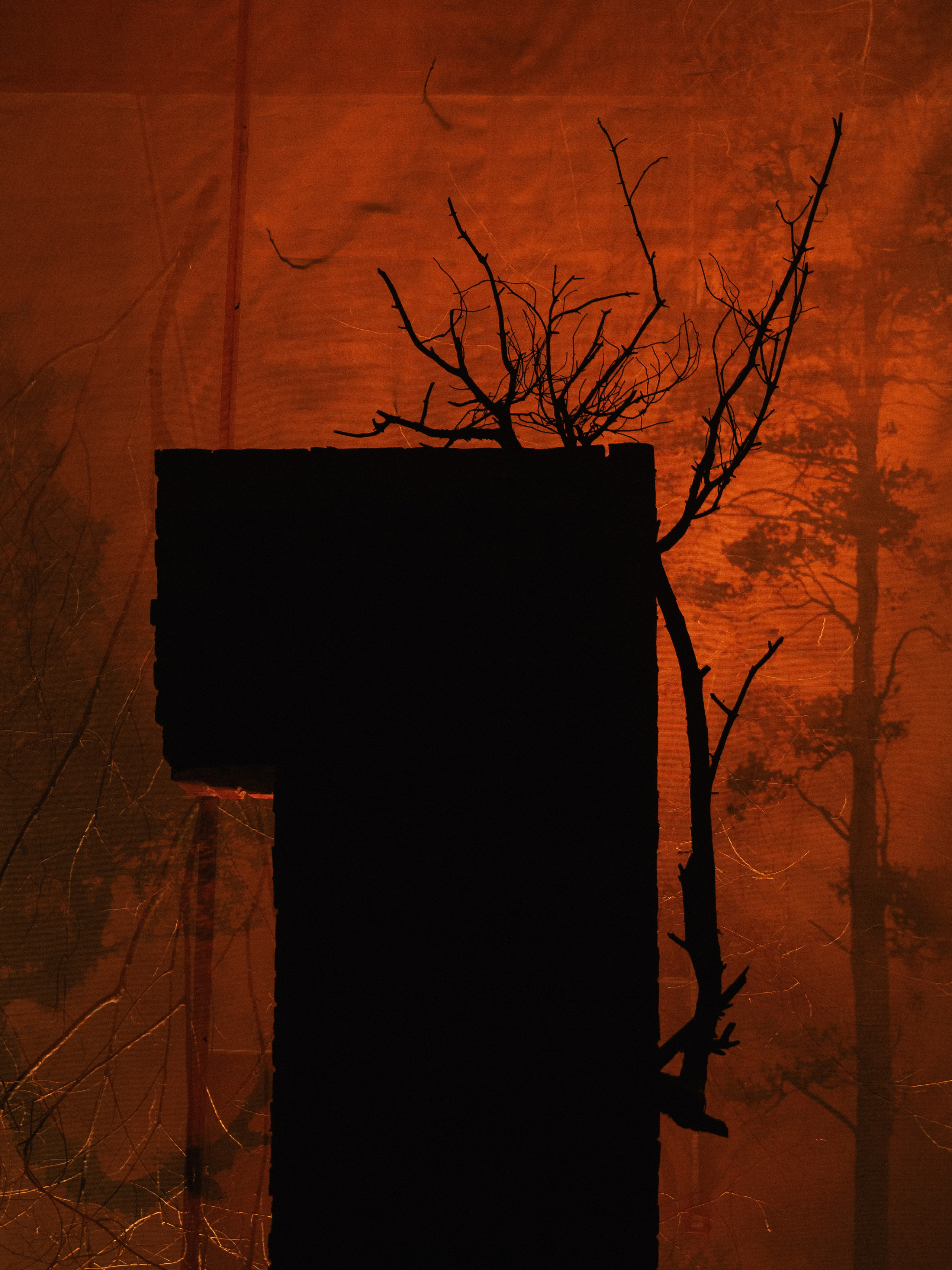 Wedding Awards NW 2025. NesterovaMaria.ru