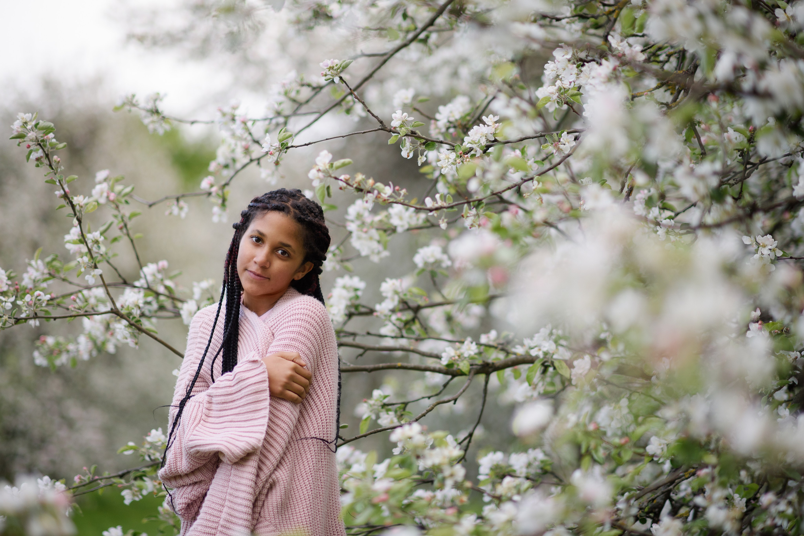 Яблони в Коломенском. Ясмина. Главная