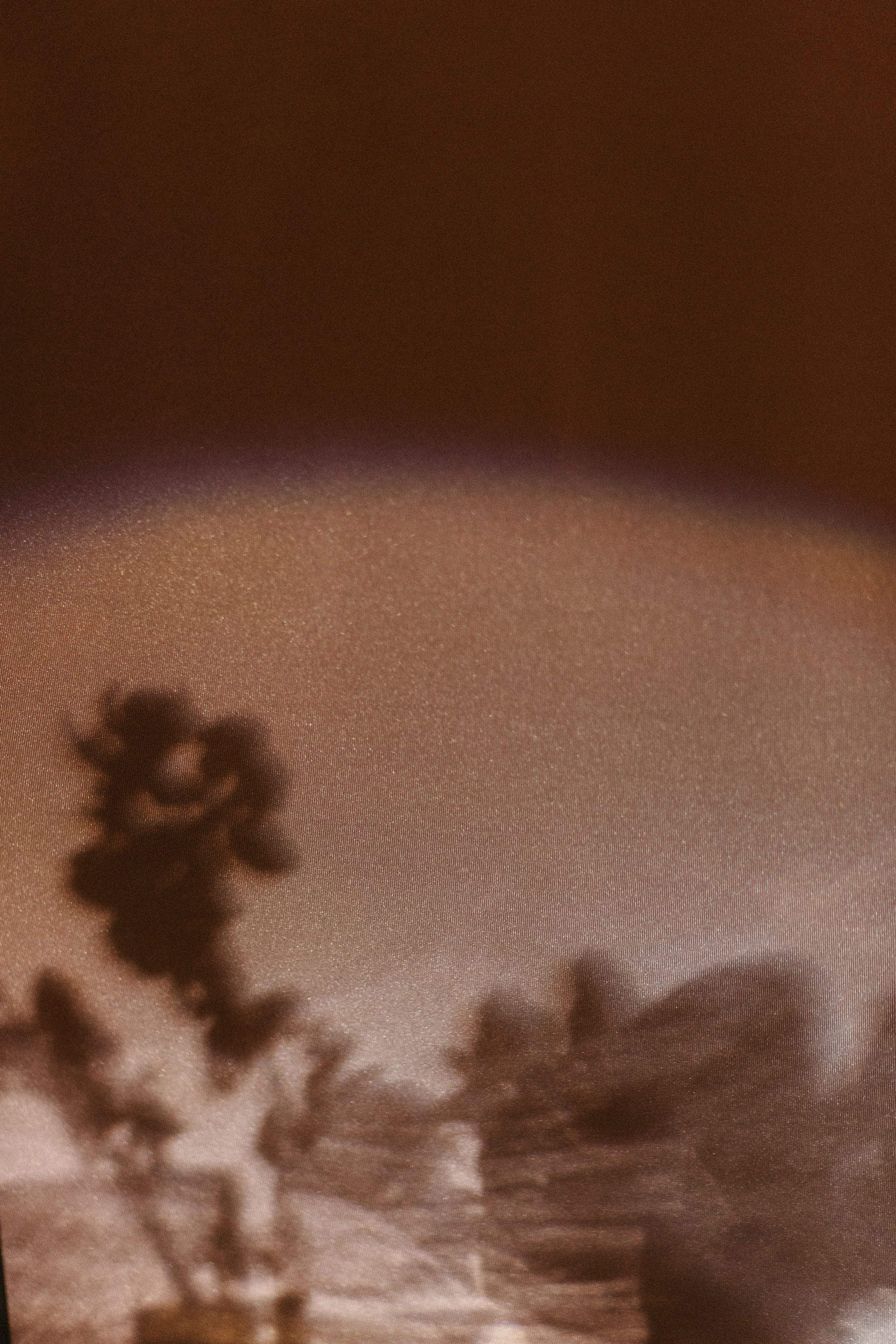 Вечер в Pafos. Свадебный фотограф в Москве Николай Болт