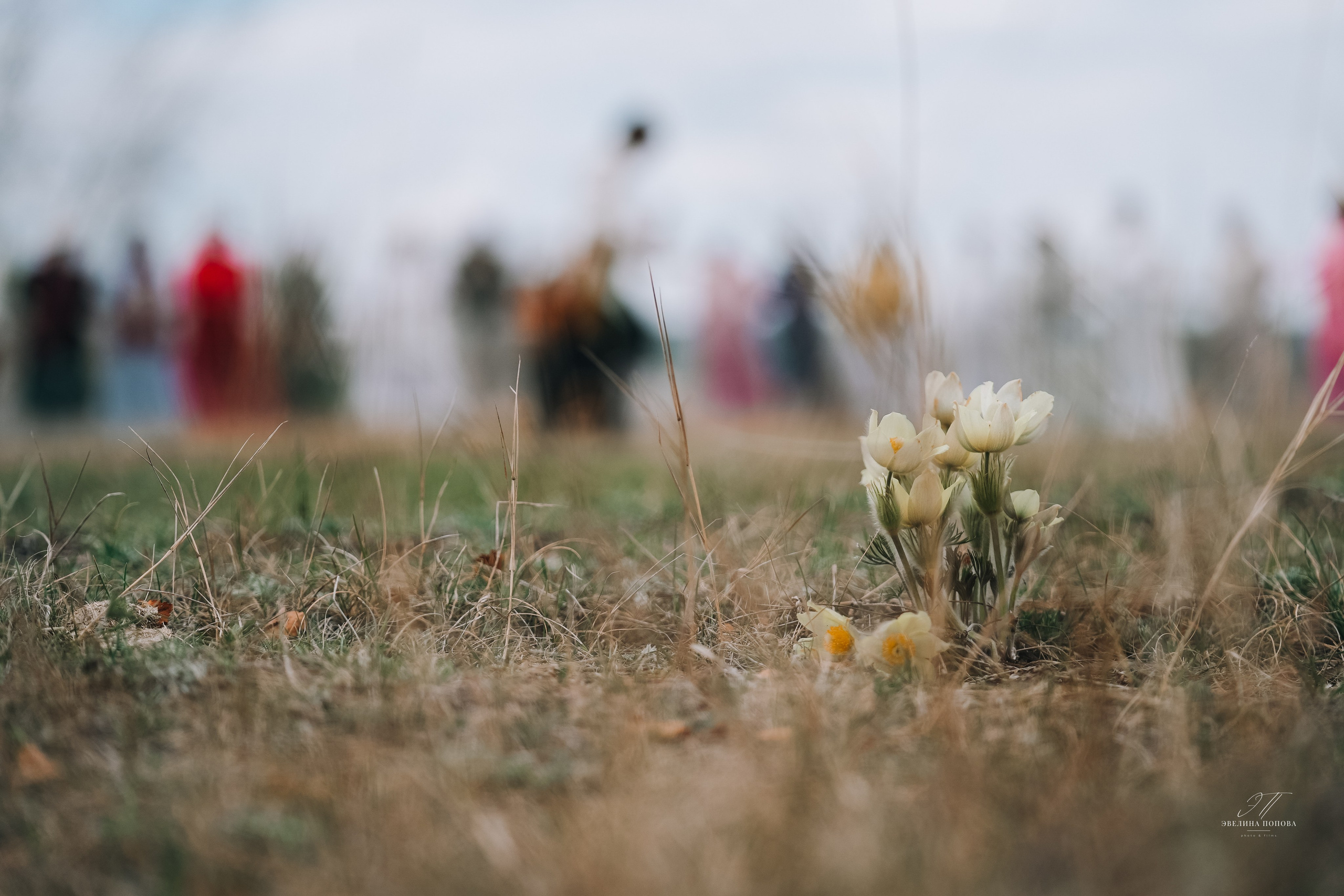 Репортажные. Эвелина Попова photo & films