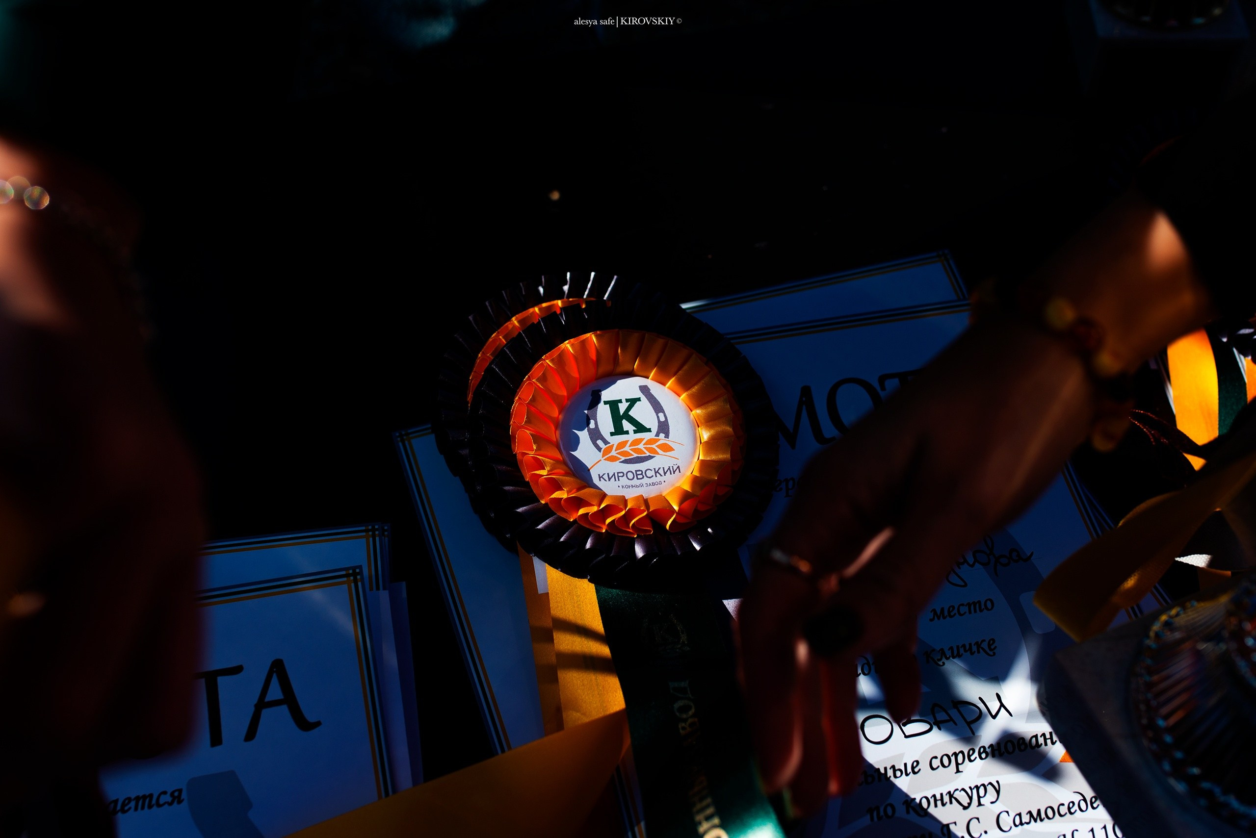 Кировский конный завод. Конный фотограф Alesya Safe