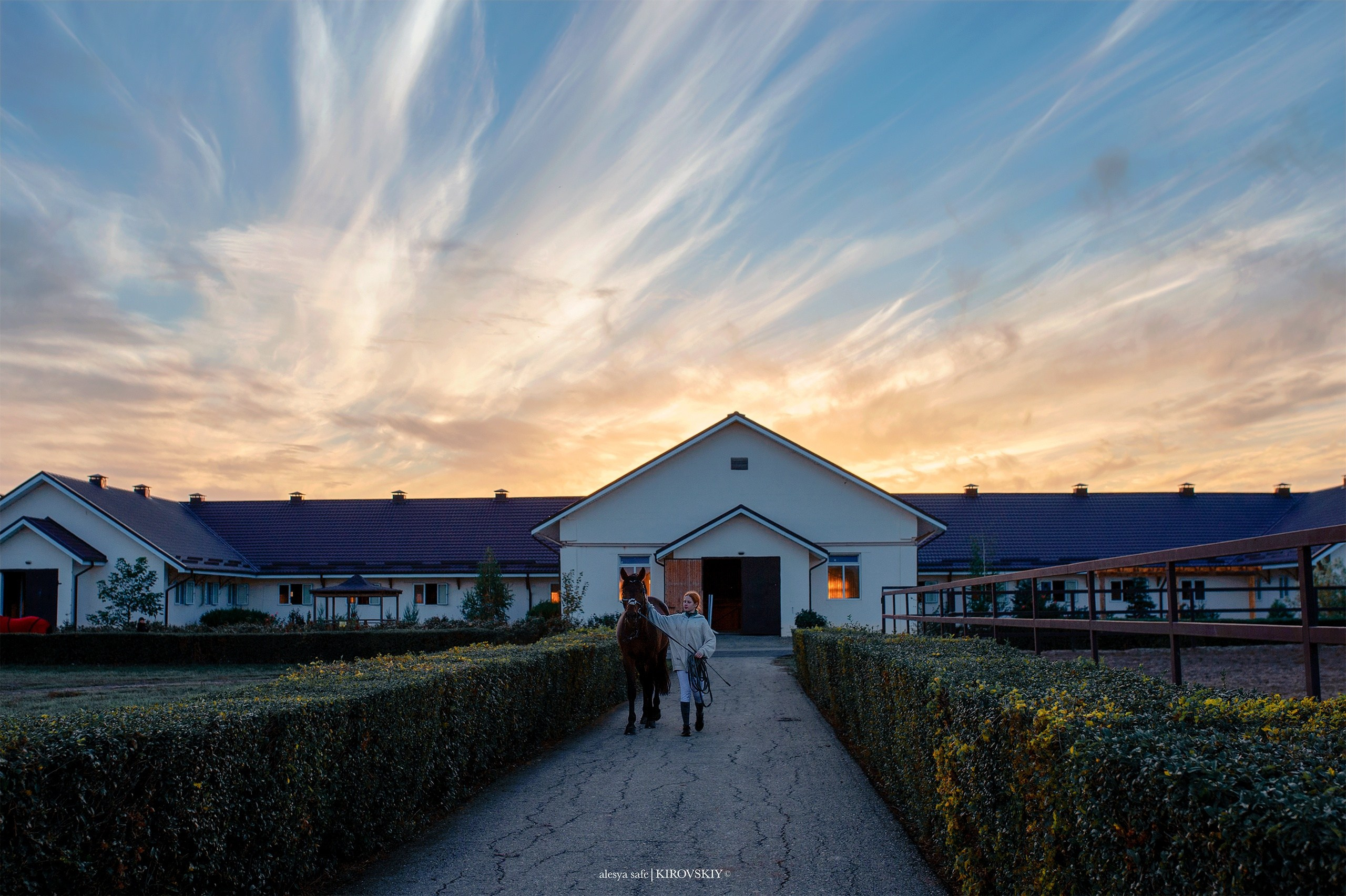Кировский конный завод. Конный фотограф Alesya Safe