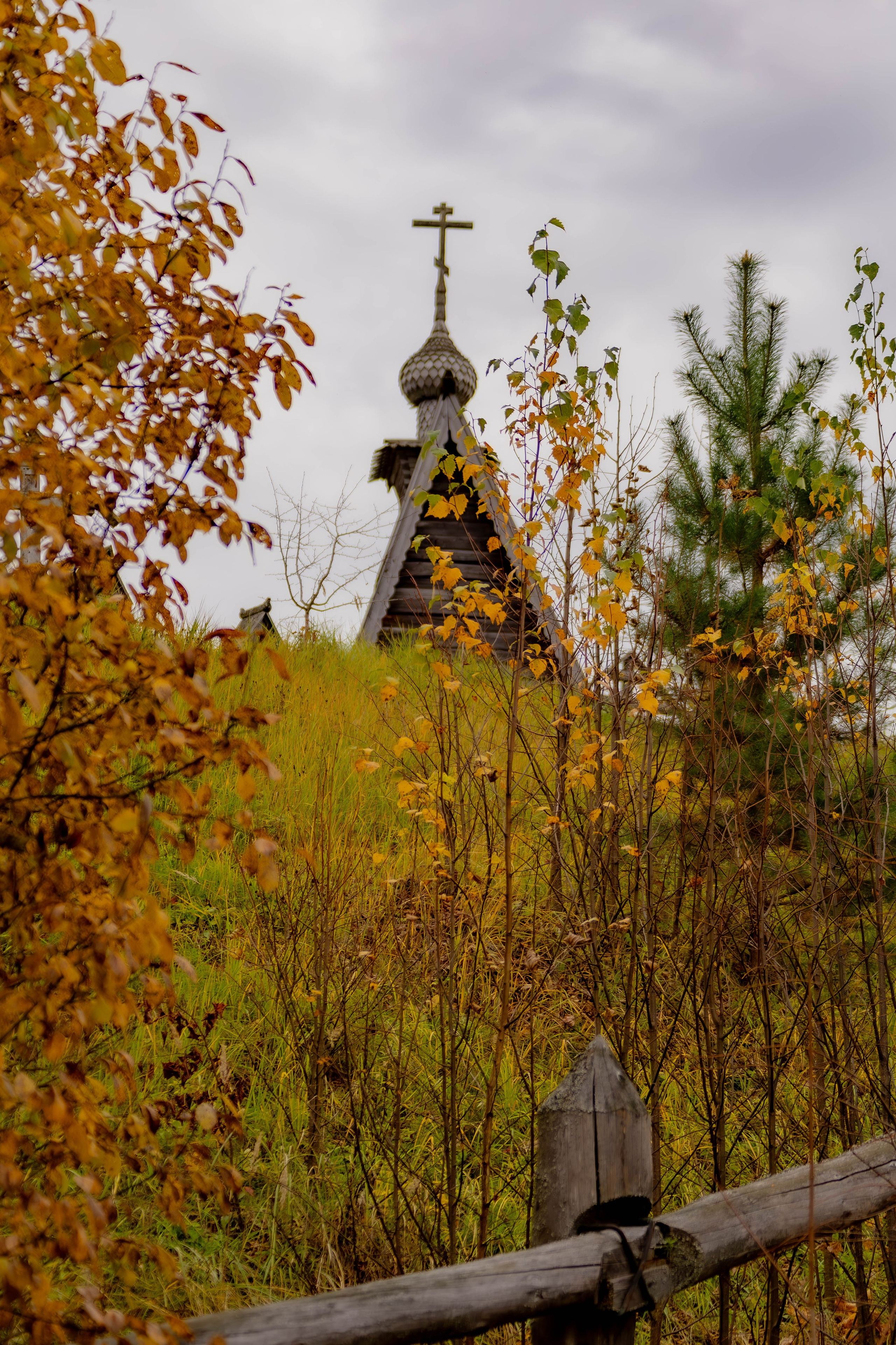 ПЛАНЕТА ЗЕМЛЯ (пейзаж). АЛЕКСЕЙ КОЛМАКОВ. Фотограф. Москва и Московская область