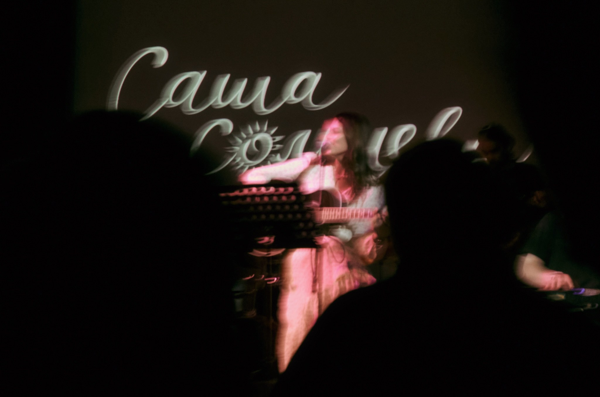 Концертные фото. Wirinsens