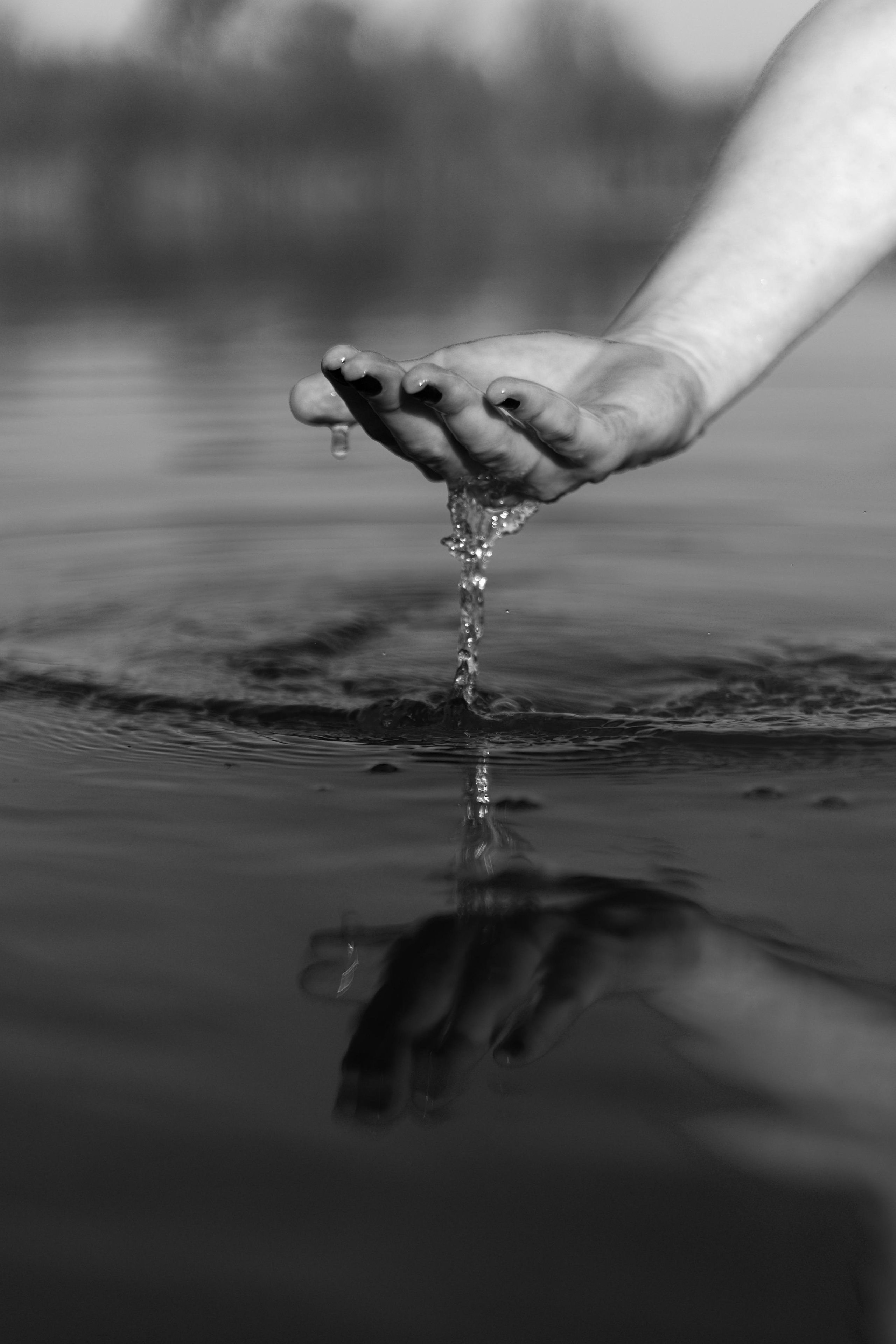 Екатерина. Главная