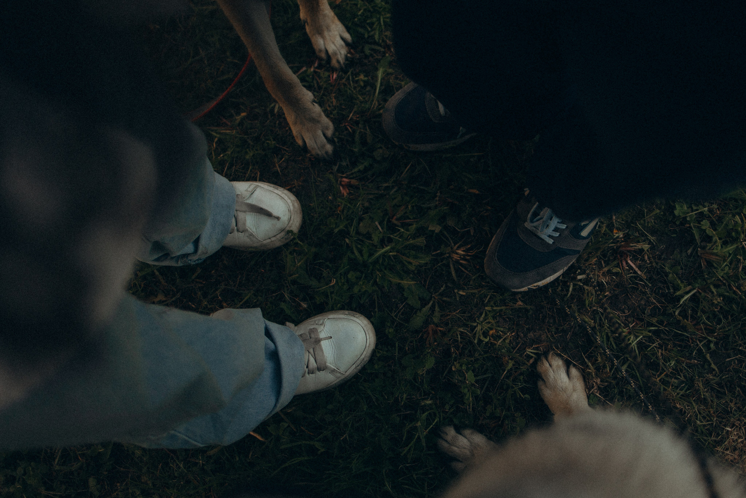 Аня и ее семья. Фотораф — анималист Мария Шистка