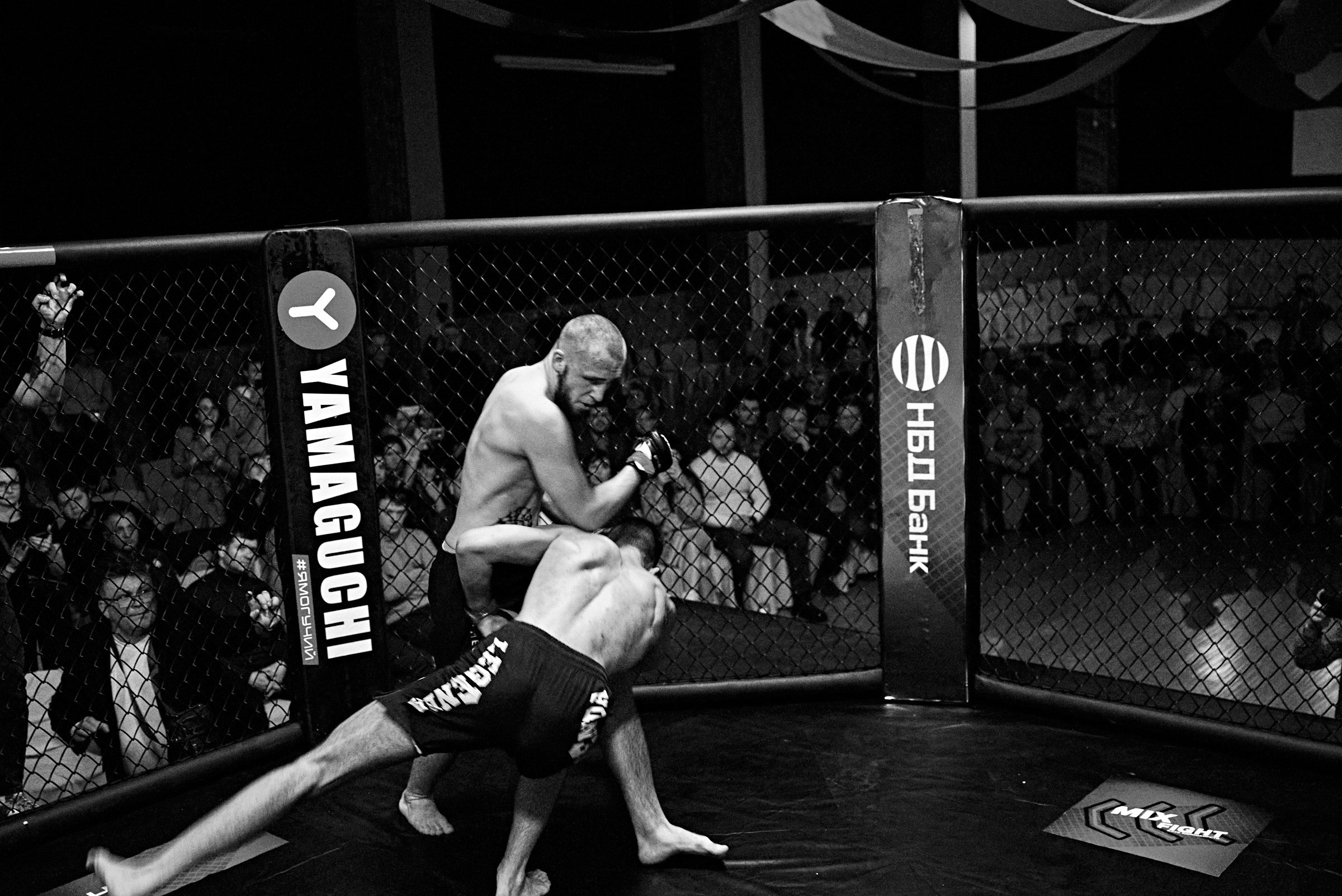 Бои. Маляревич Дмитрий свадебный фотограф