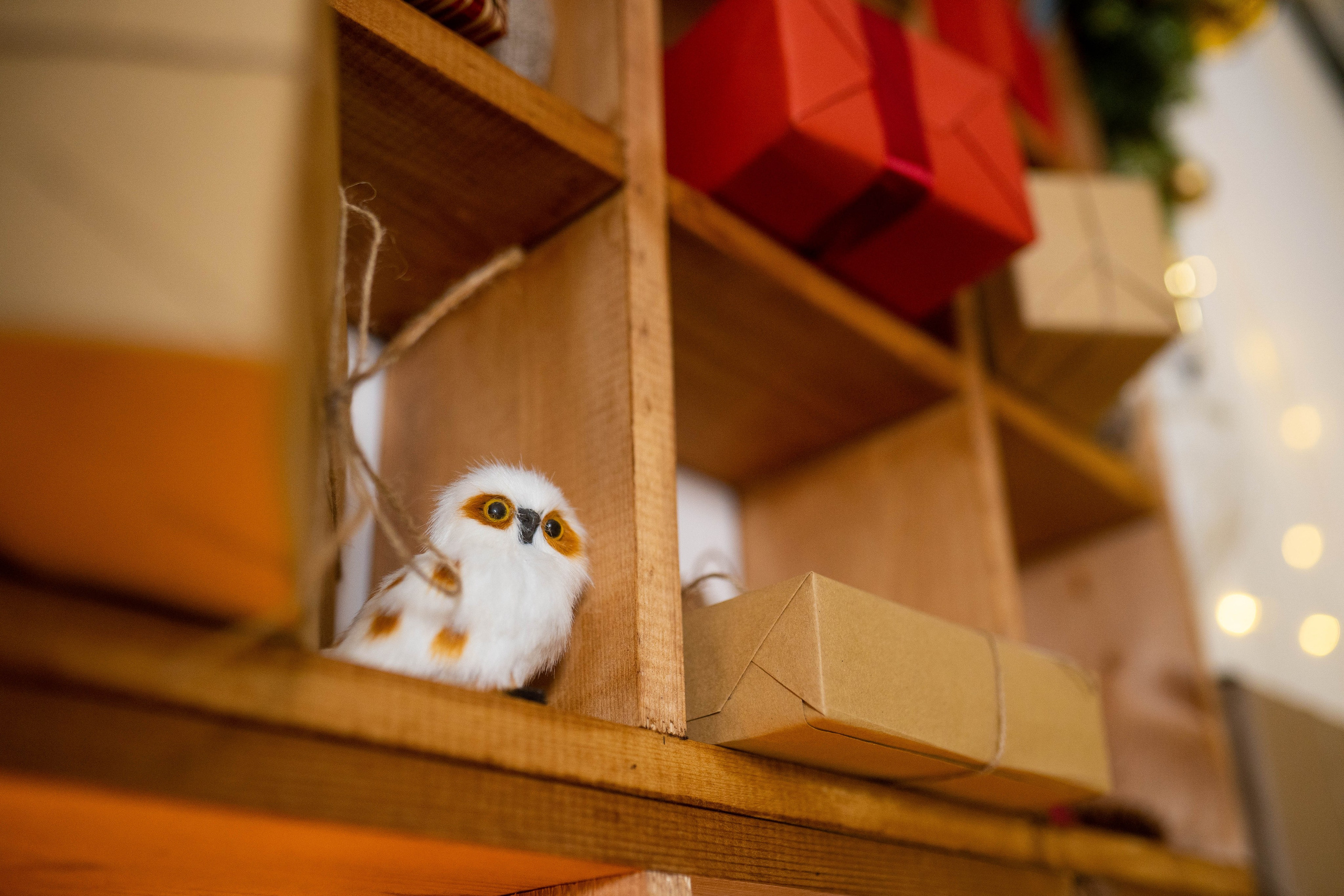 Зал Детский. Фотограф г. Хабаровск. Семейные и индивидуальные съёмки