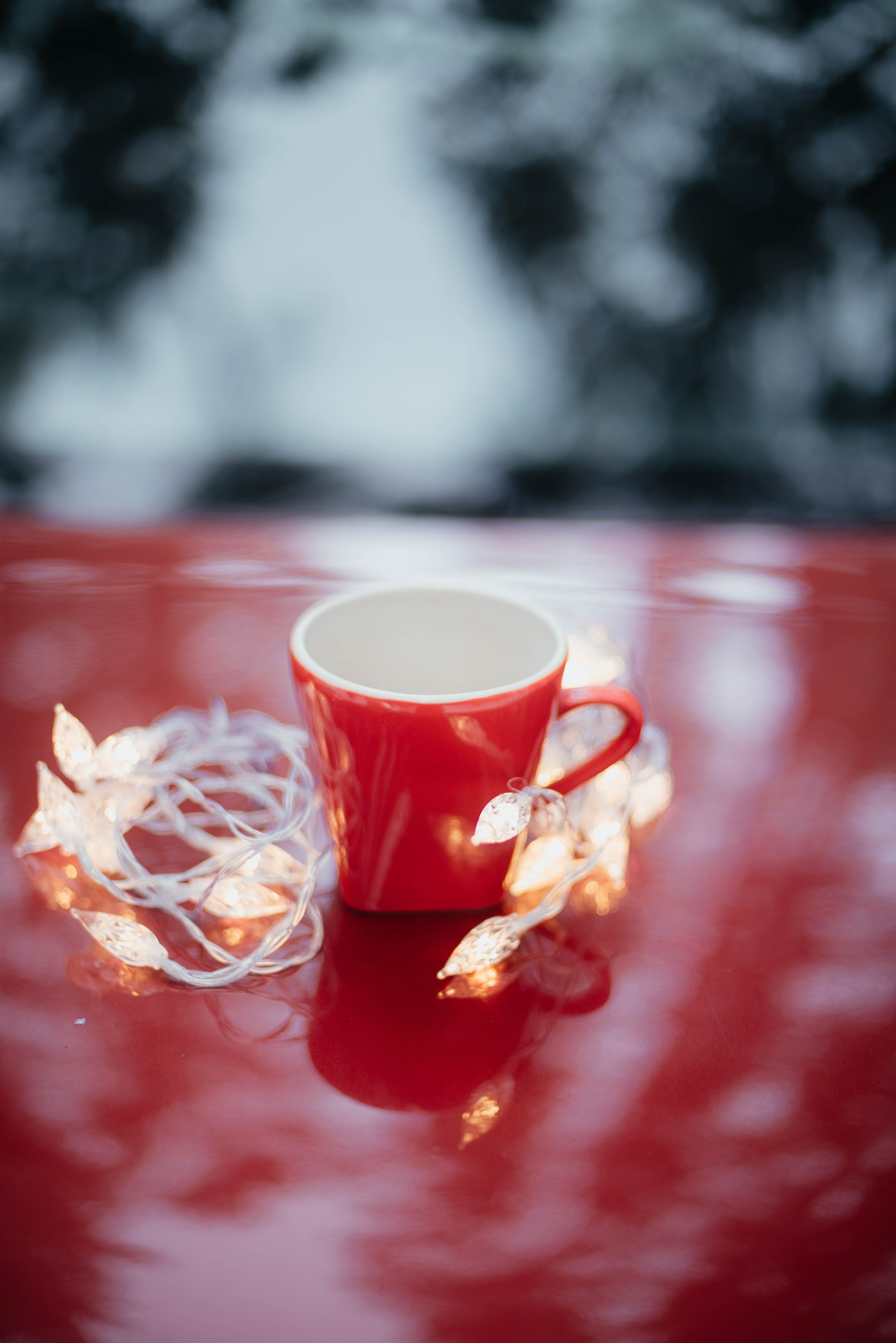 Новогодняя съемка для сестёр. Фотограф Эллина Дар г. Улан-Удэ