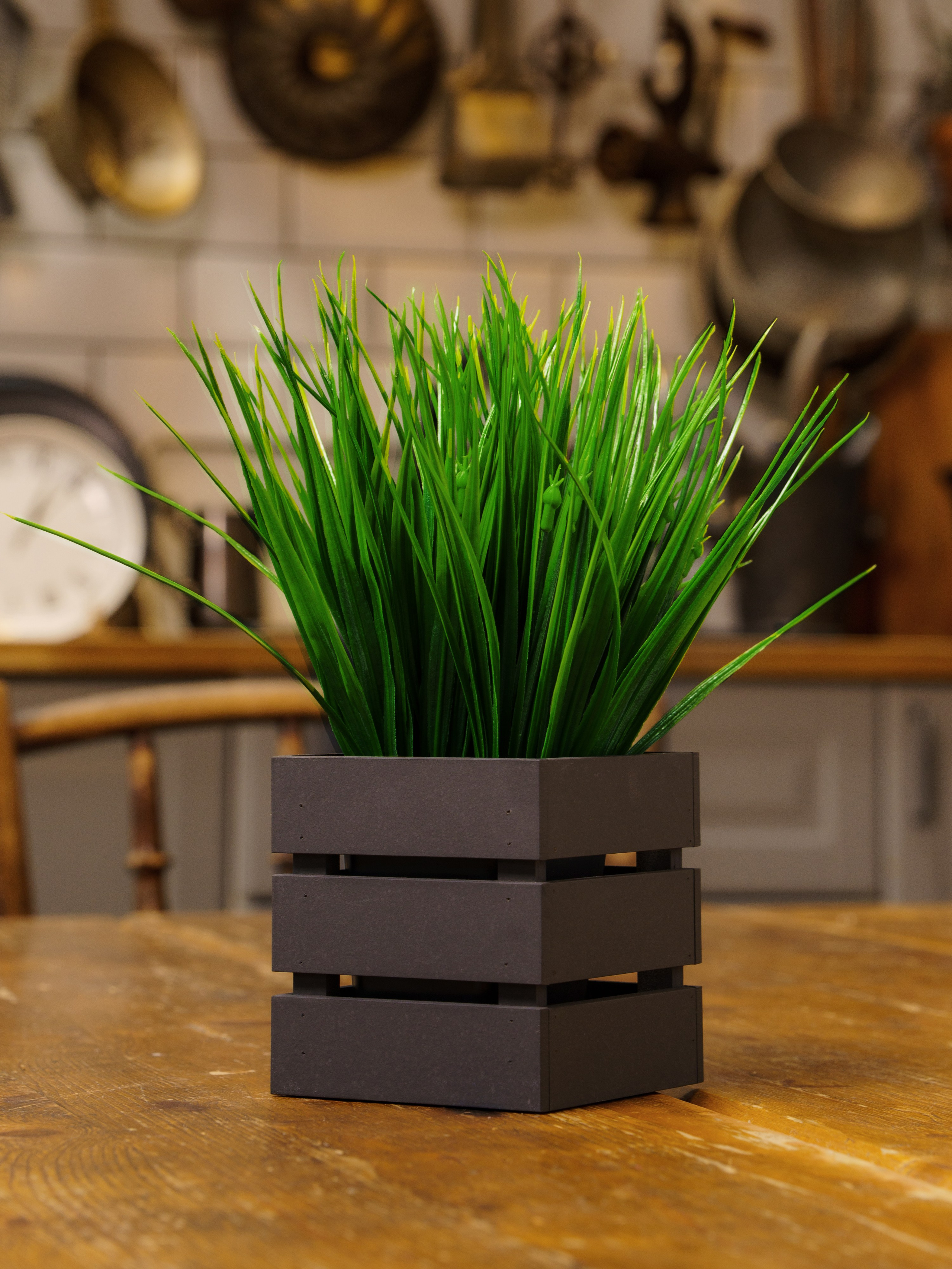 Кашпо. Макаров Сергей|Creamlebot Фотограф города Ростов-на-Дону