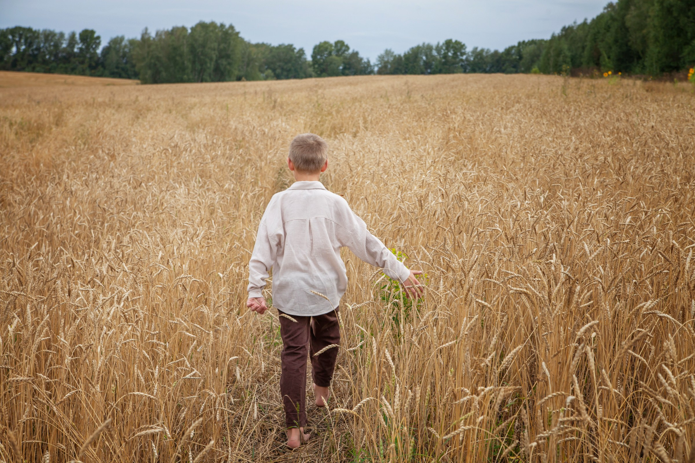 Дети в поле. Детский и семейный фотограф в Бердске и Новосибирске Дарья Гребнева