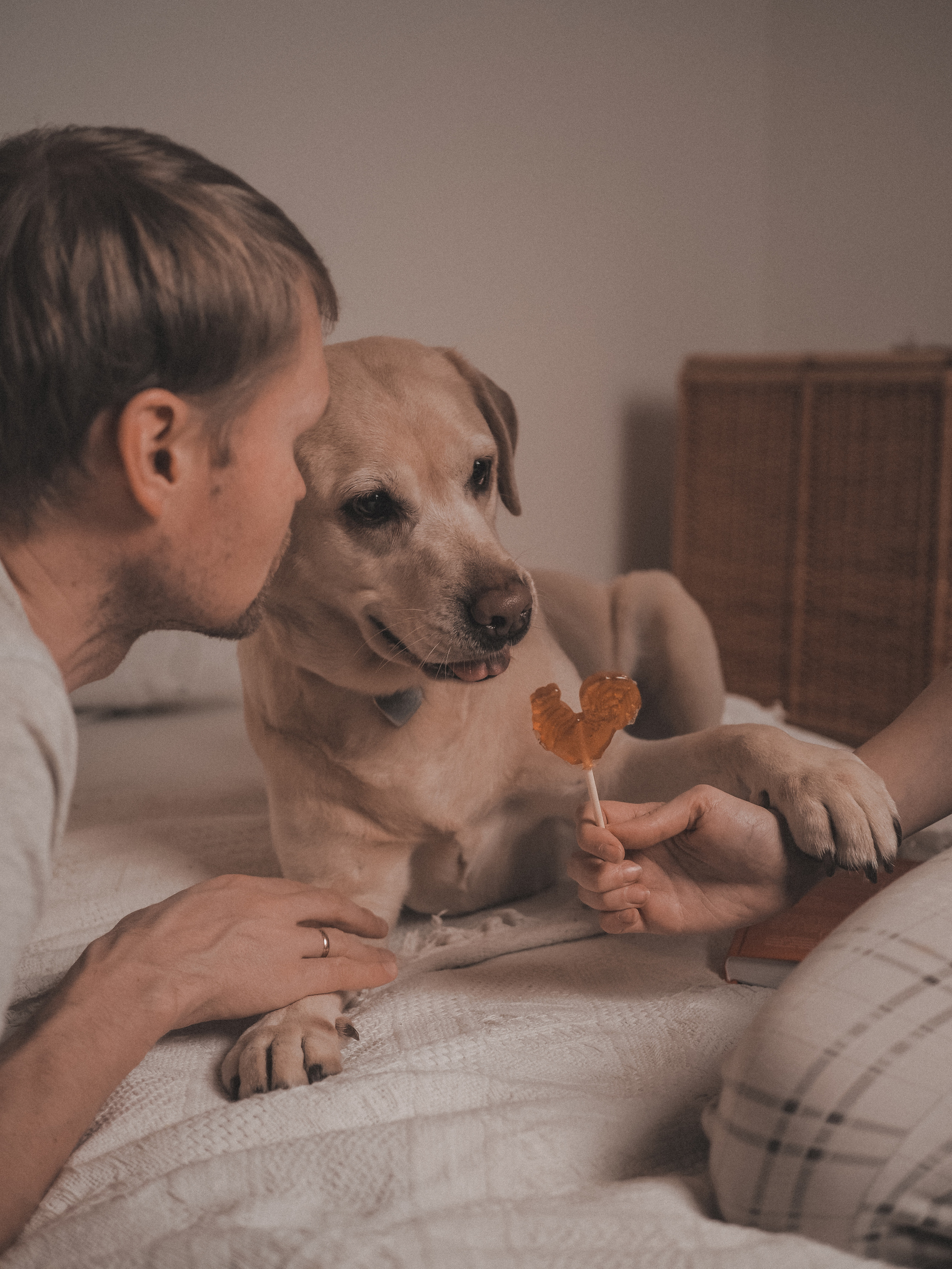 Love & Family. Фотограф и видеограф в Санкт-Петербурге