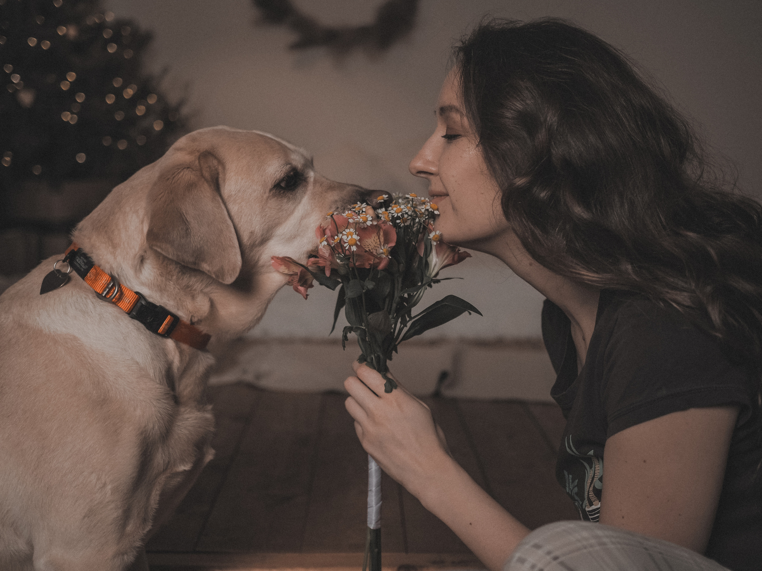 Love & Family. Фотограф и видеограф в Санкт-Петербурге