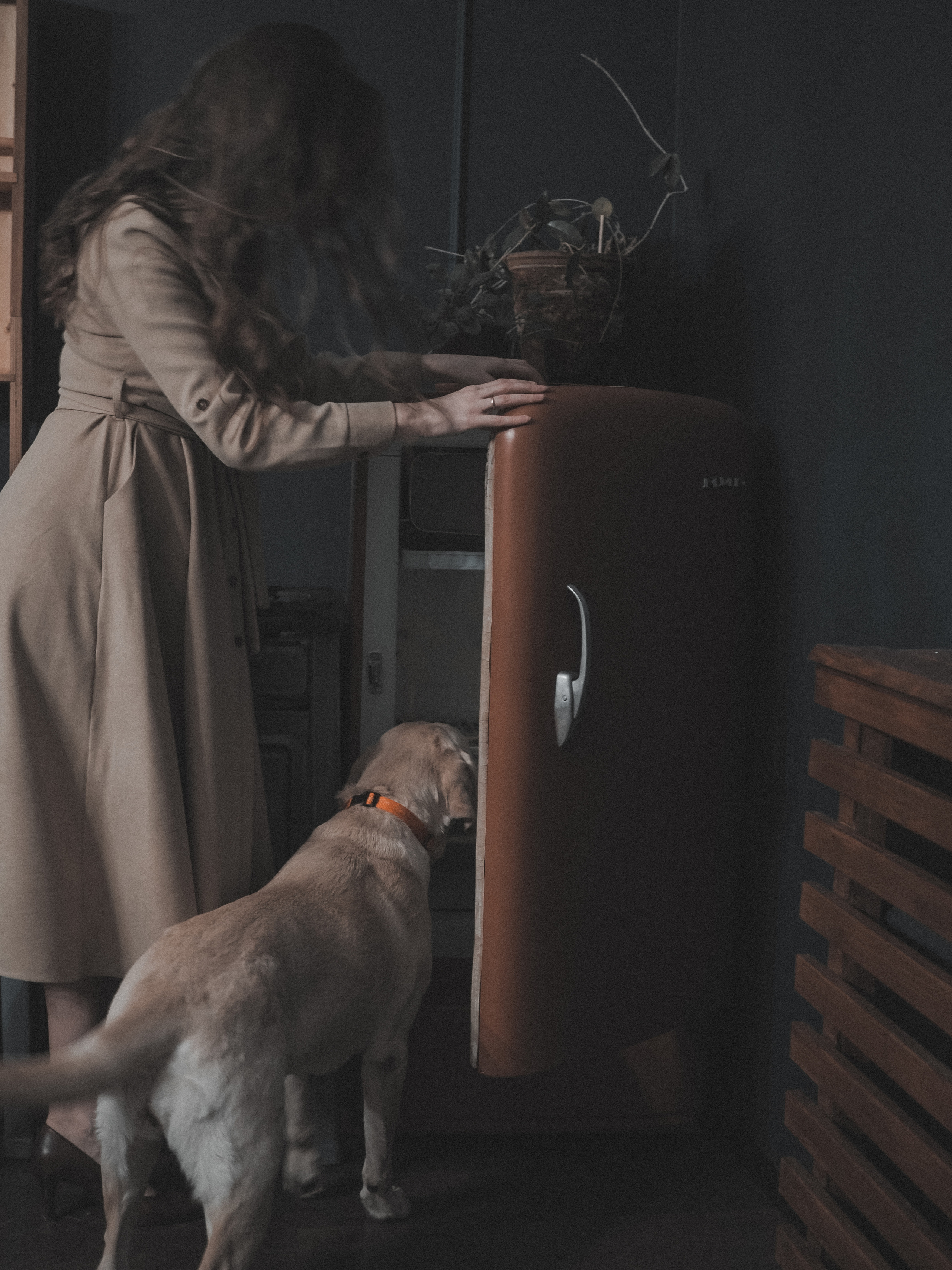 Love & Family. Фотограф и видеограф в Санкт-Петербурге