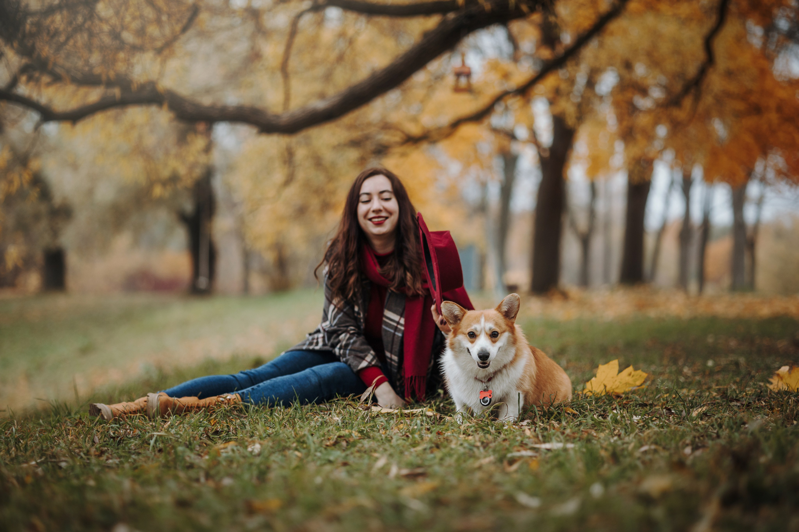 Юля и Терри. Фотограф — Анималист | Санкт-Петербург