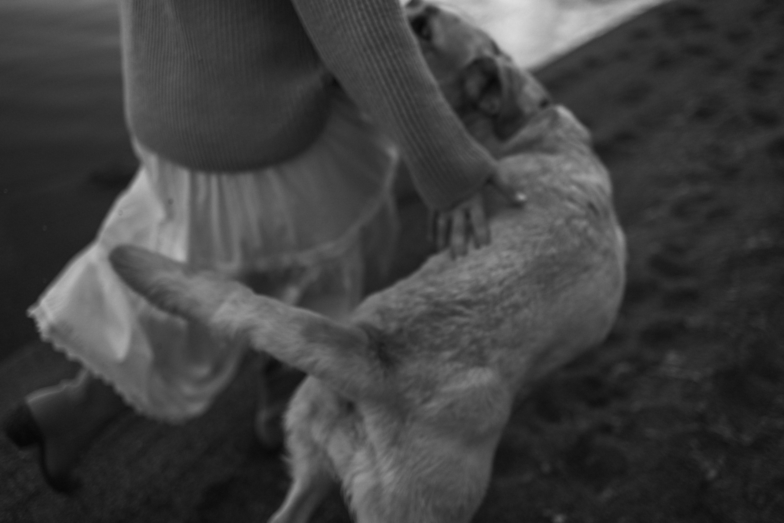 Наташа и Шани. Фотограф — Анималист | Санкт-Петербург