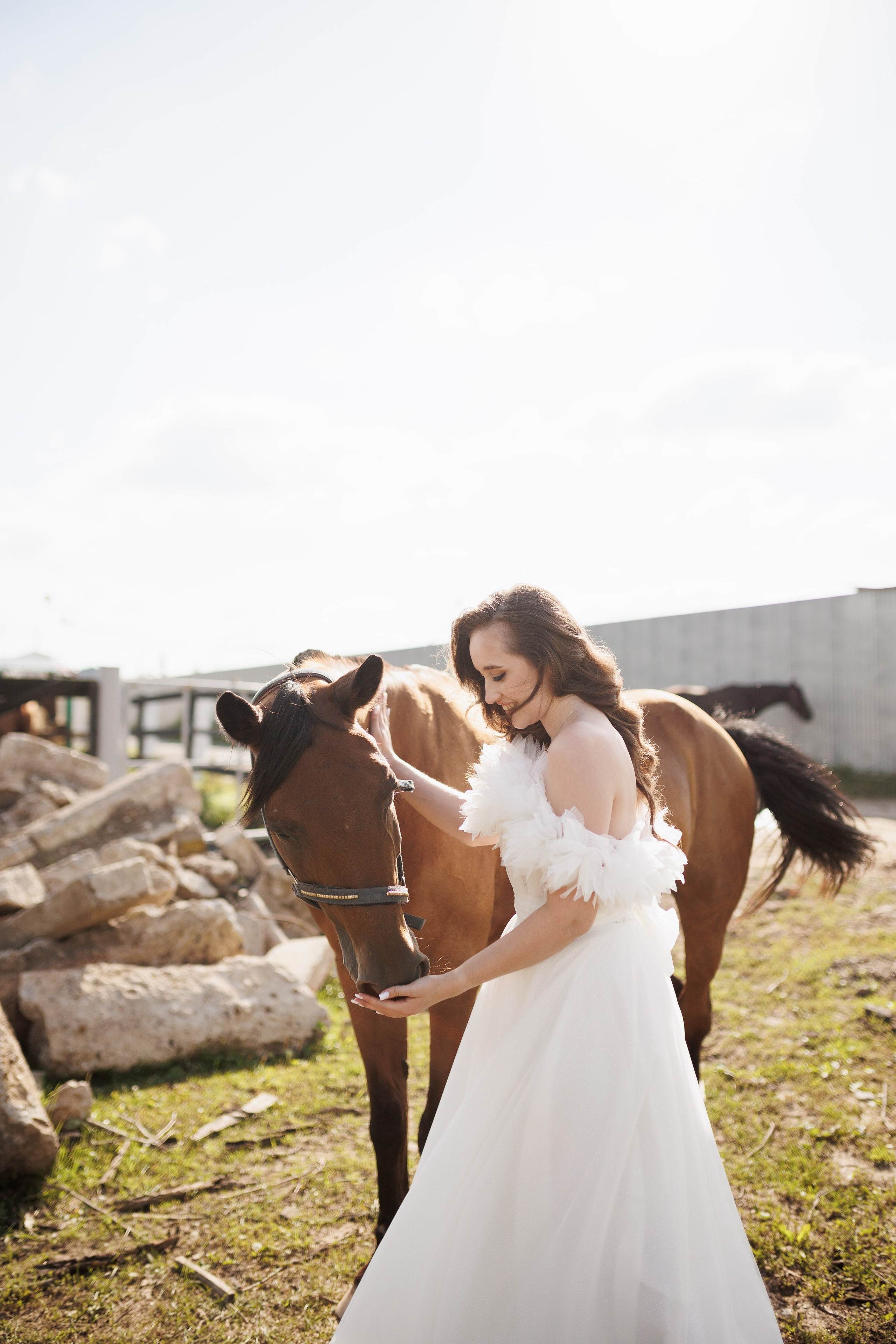 Сентябрь 2025, Белый лис, Выкса. Фотограф городских и семейных событий в Нижнем Новгороде Артем Карпухин