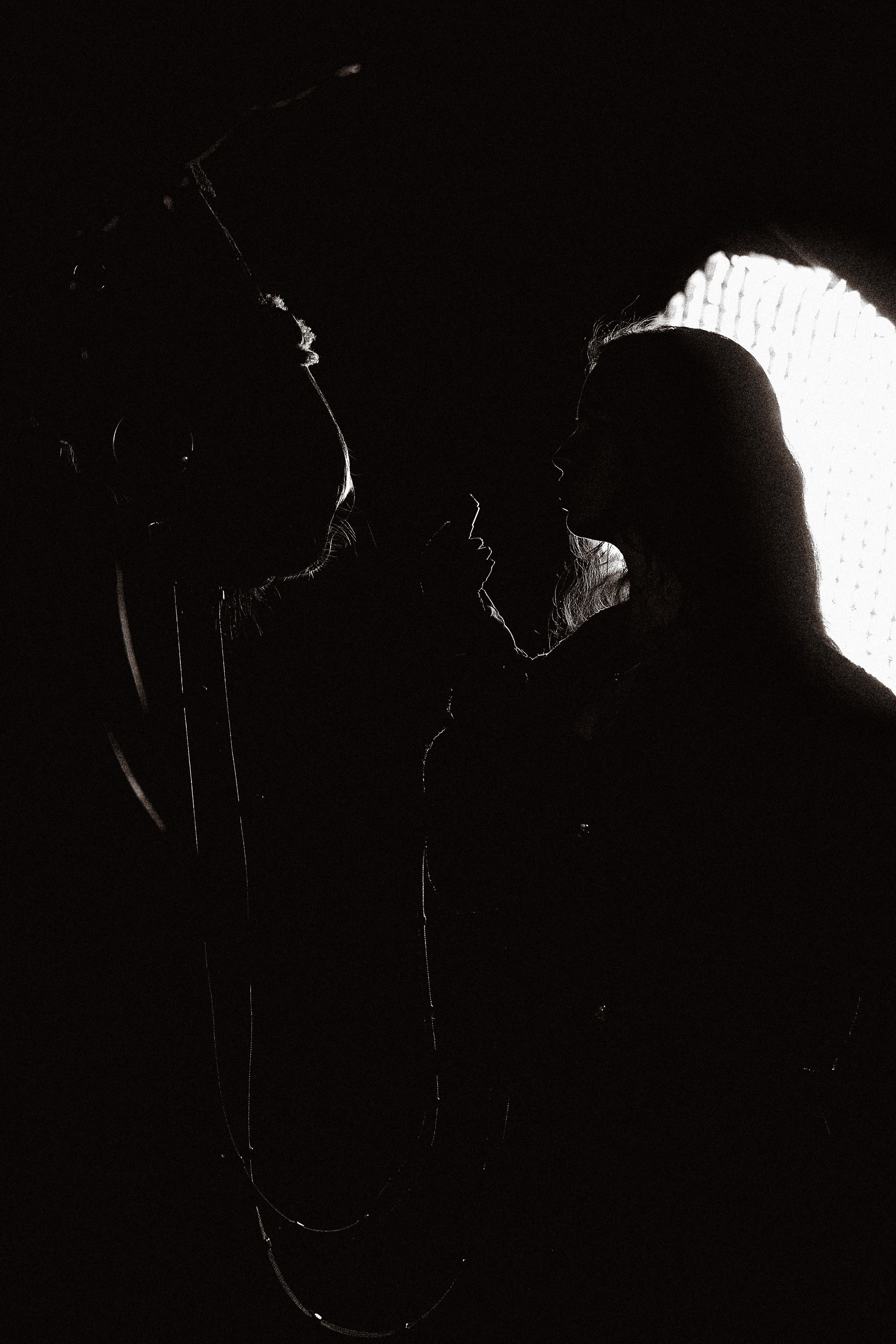 Алиса Олейник, Фардон и Кончелла. Эквицентр Северный. Фотосессии с лошадьми в Москве, Новосибирске