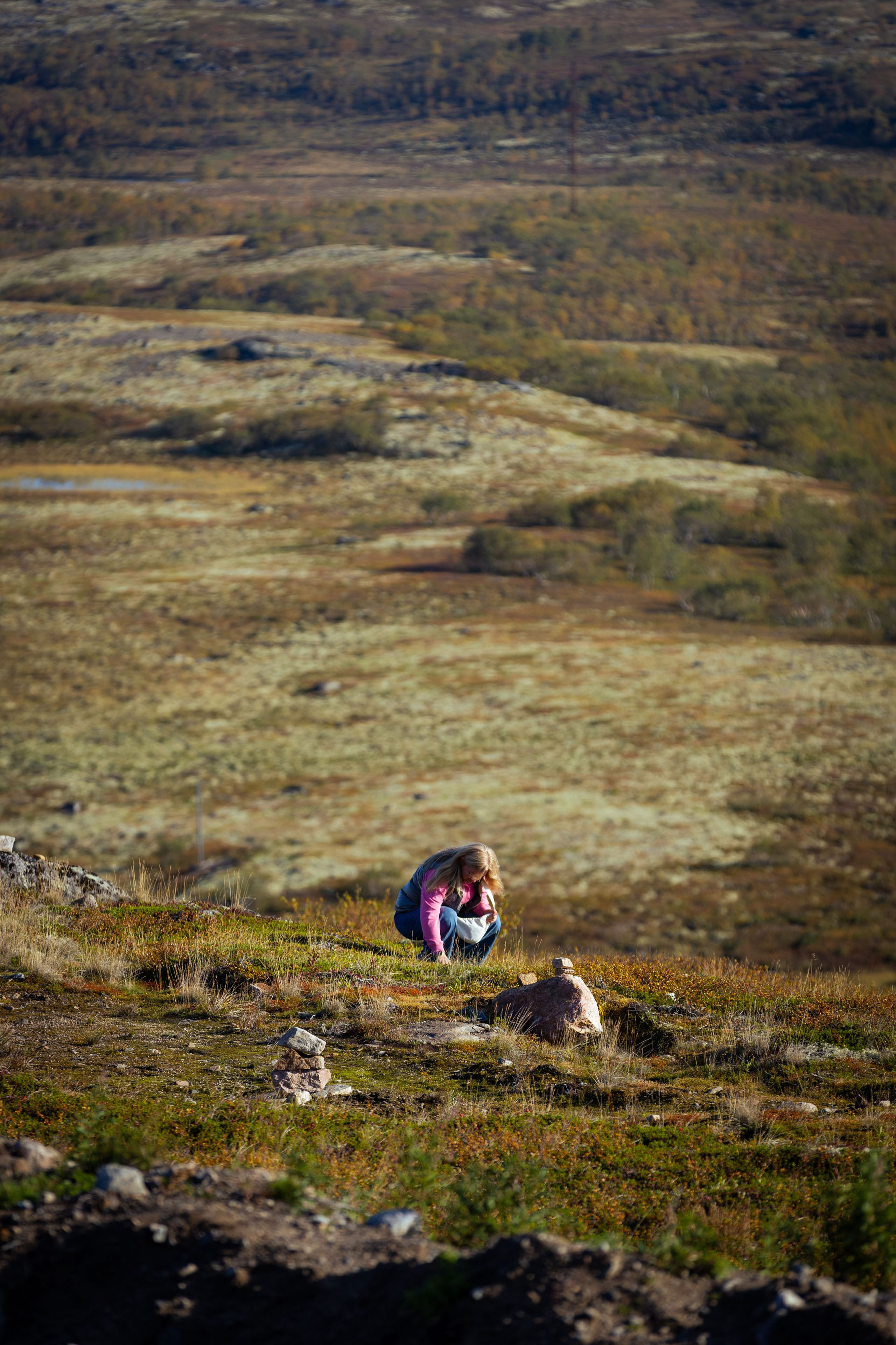 Кольский (осень 2025). Фотограф Виноградов Константин